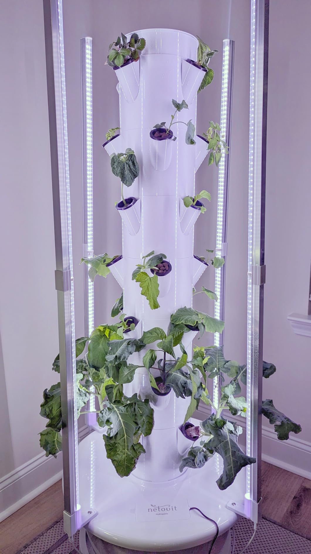 Hydroponic Tower Garden with LED Lights, 32 Pods, Auto Watering System | Grow fresh vegetables and herbs indoors with this 32-pod hydroponic tower featuring LED lights, auto watering, and dual timer customer photo 1