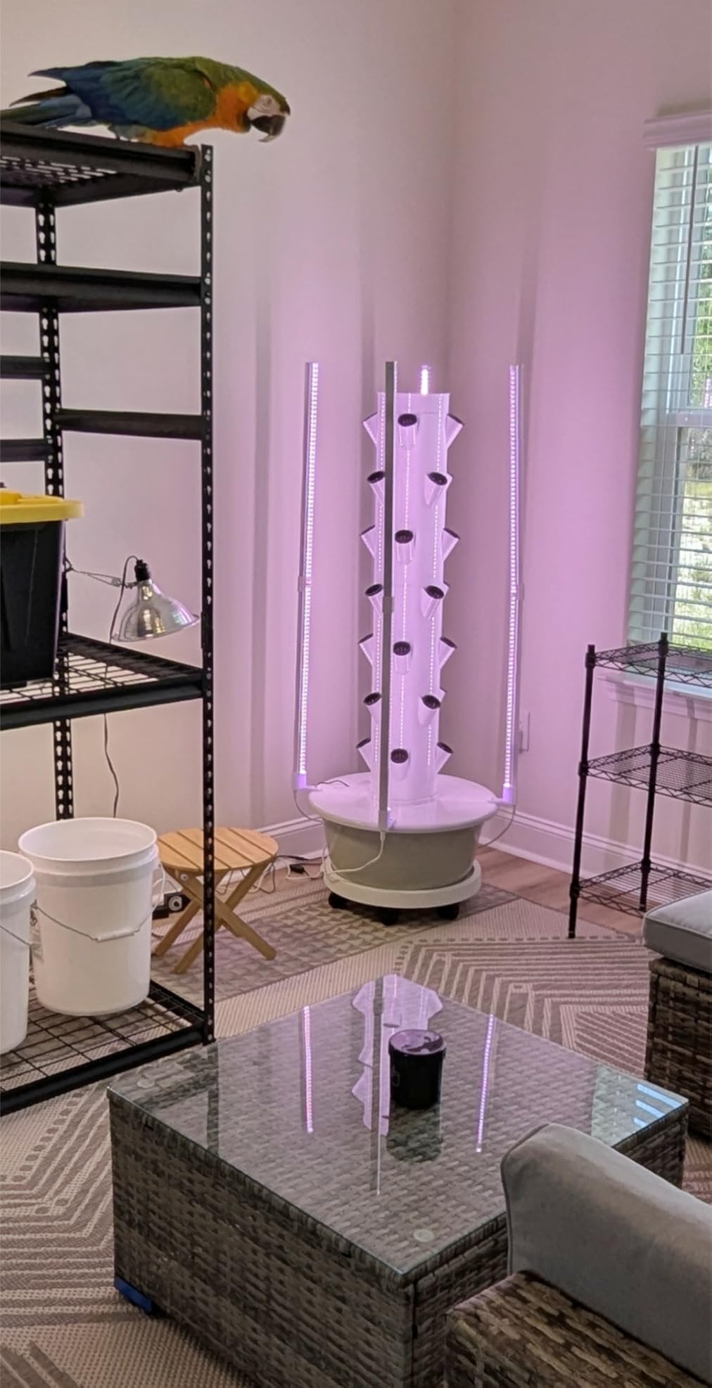 Hydroponic Tower Garden with LED Lights, 32 Pods, Auto Watering System | Grow fresh vegetables and herbs indoors with this 32-pod hydroponic tower featuring LED lights, auto watering, and dual timer customer photo 2