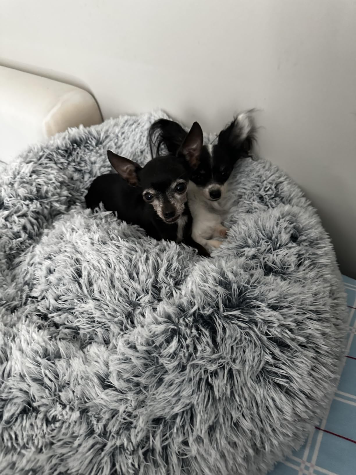 JOLLYVOGUE Dog Bed, Calming Anti-Anxiety Large Dog Bed, Fluffy Donut Cushion for Medium and Large Pets (27
