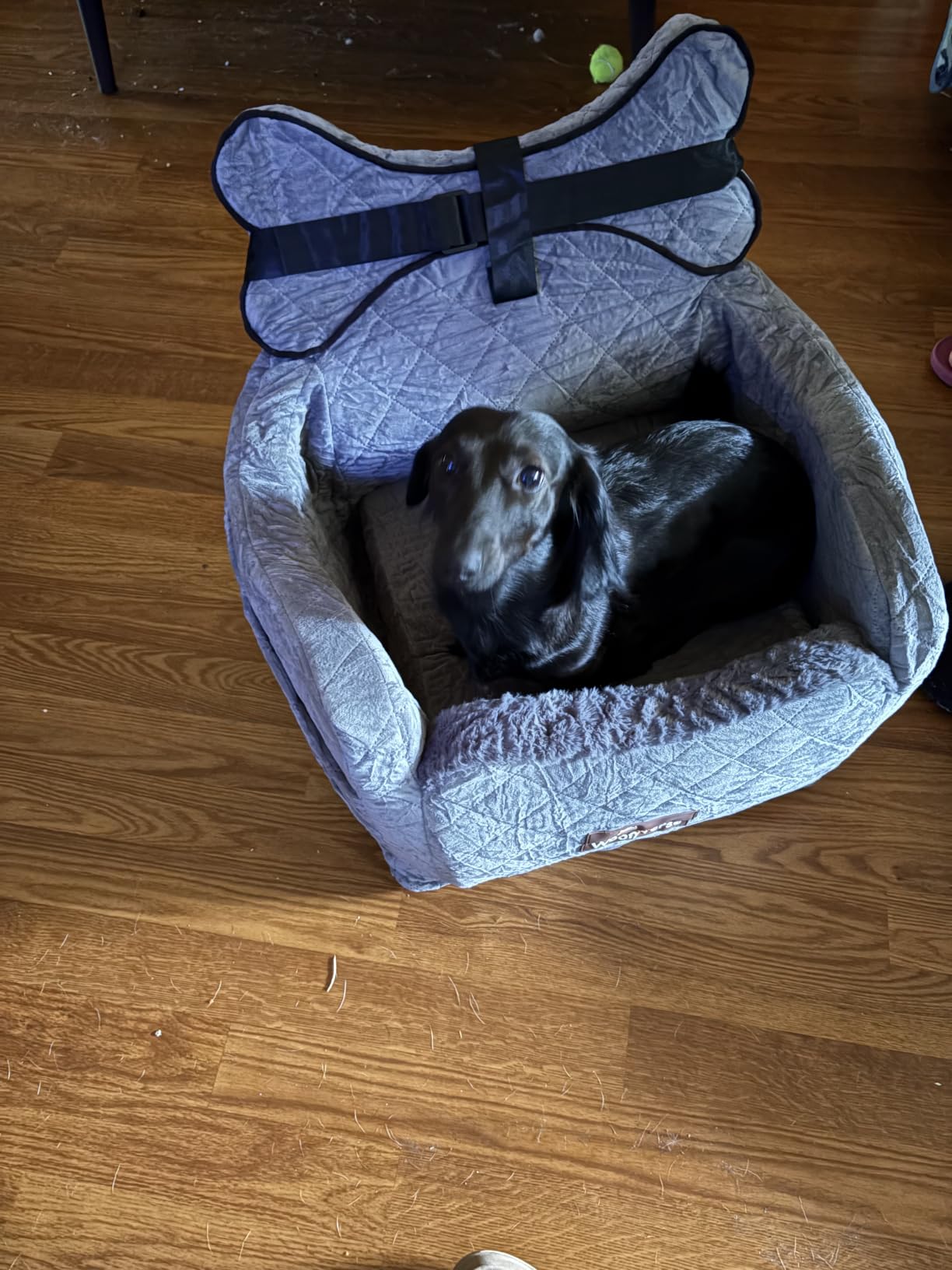 Yara's Woofyverse Dog Car Booster Seat, Small & Medium Dogs, Midnight Ash - Fur-Lined Headrest, Adjustable Cushions, 6-Pocket Storage, Machine-Washable Cover, Portable Pet Car Seat Front/Back Travel customer photo 1