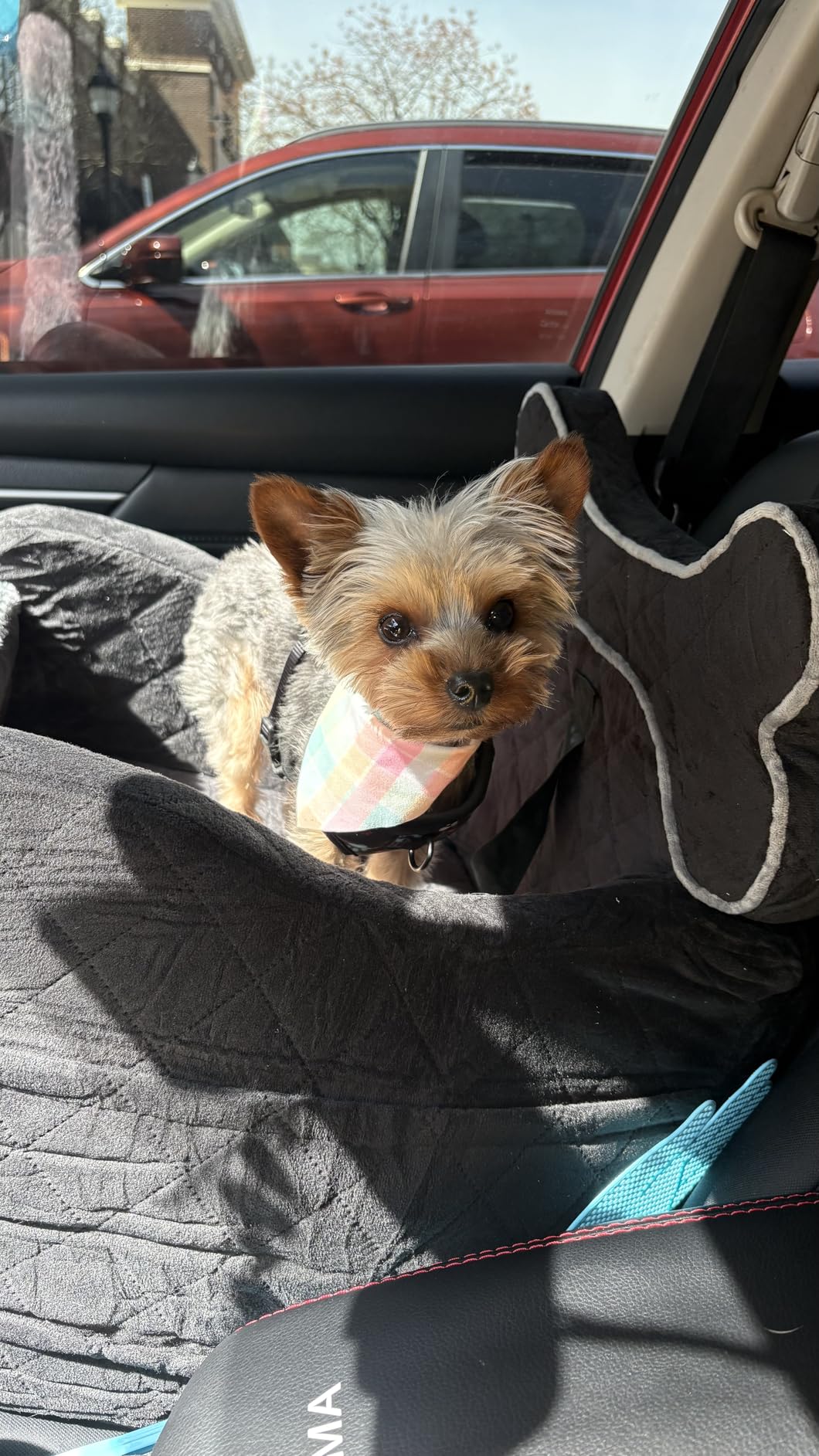 Yara's Woofyverse Dog Car Booster Seat, Small & Medium Dogs, Midnight Ash - Fur-Lined Headrest, Adjustable Cushions, 6-Pocket Storage, Machine-Washable Cover, Portable Pet Car Seat Front/Back Travel customer photo 2