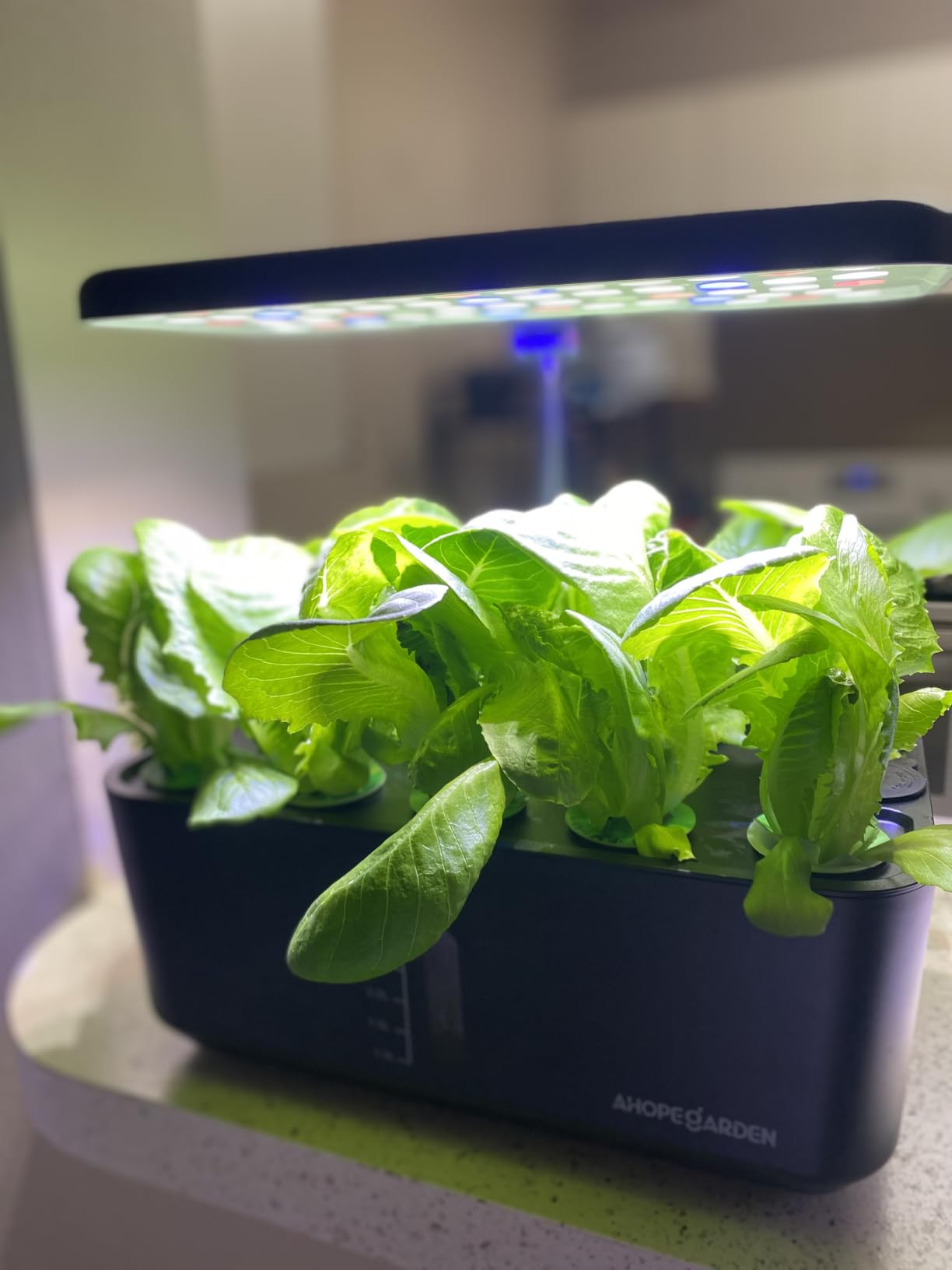 Ahopegarden Indoor Garden Hydroponics Growing System: 10 Pods Kit with LED | Plant Germination Kit Herb Vegetable Growth Lamp Countertop Hydroponic Planter Harvest Lettuce for Healthy-Living Enthusiasts customer photo 1