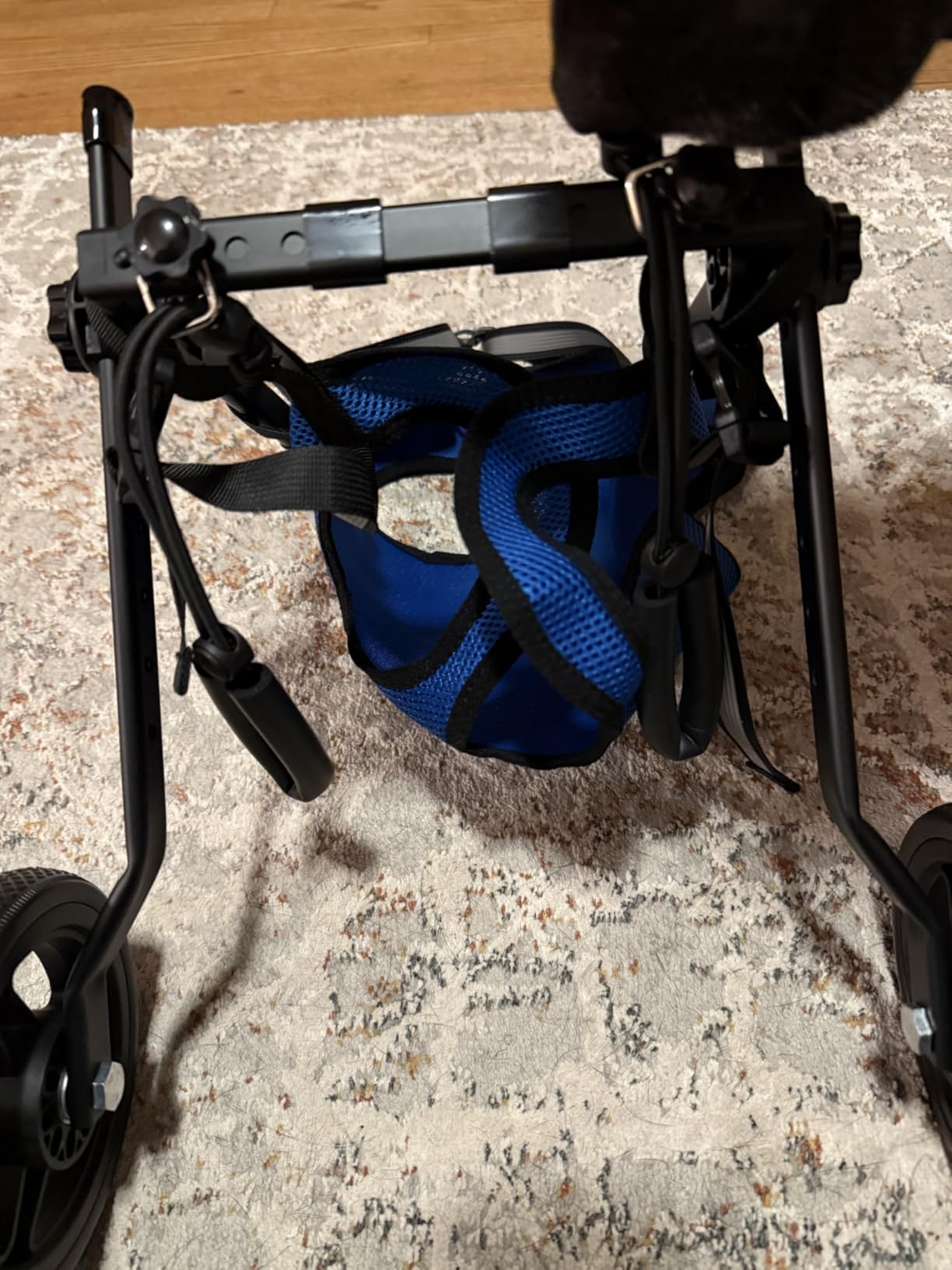 Dog Wheelchair for Back Legs, Dog Wheelchair Cart, Doggy/Cat Wheelchairs with Disabled Hind Legs Walking, Mobility Aids for Small Pets Hind Limbs, Dogs Carts with Wheels, Light Weight customer photo 2