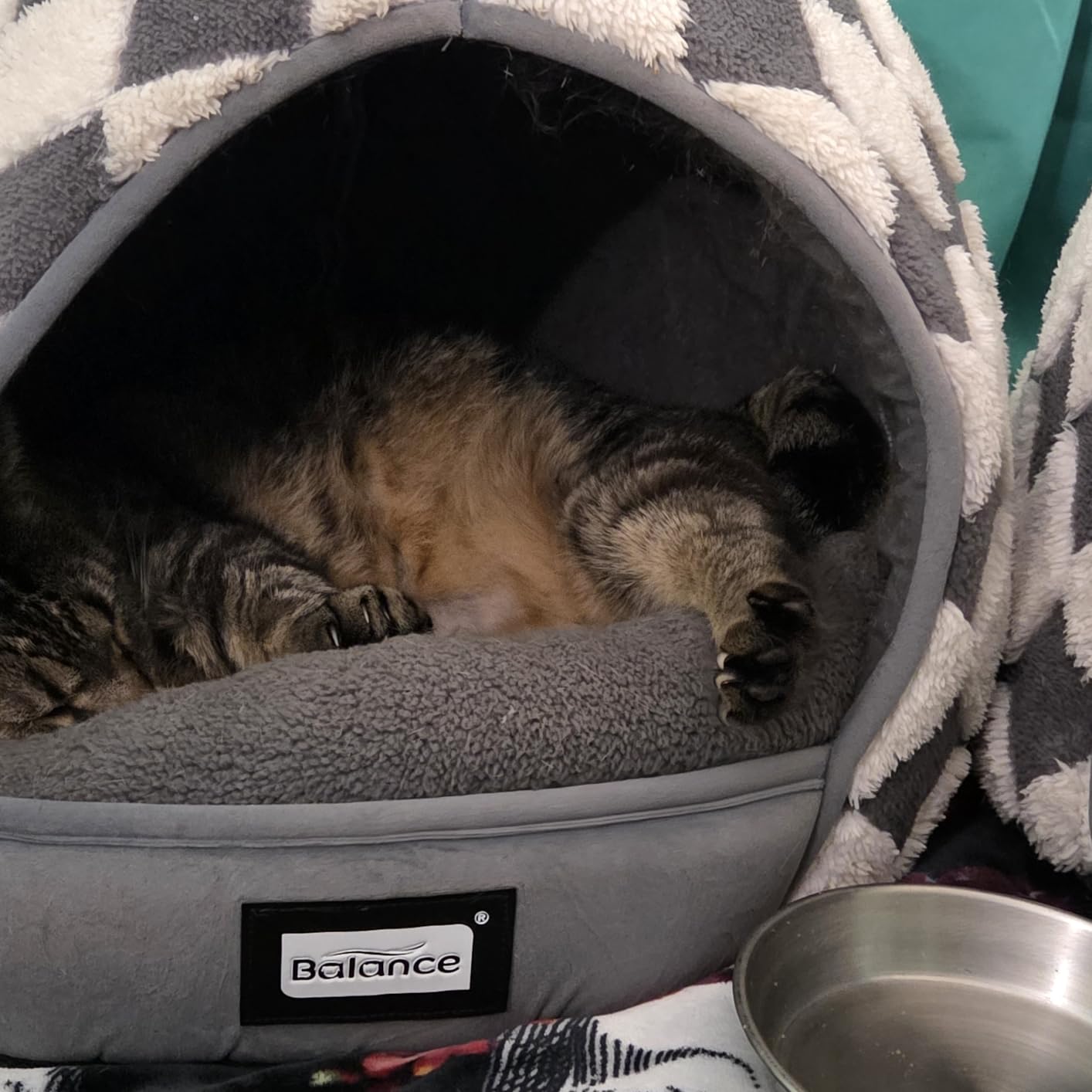 BALANCE Cat Beds for Indoor Cats, 2-in-1 Cat Bed Cave with Anti-Slip Bottom and Ultra-Soft Plush, Cozy Cats House Tent for Kittens and Small Dogs, 19 Inches, Blue customer photo 1