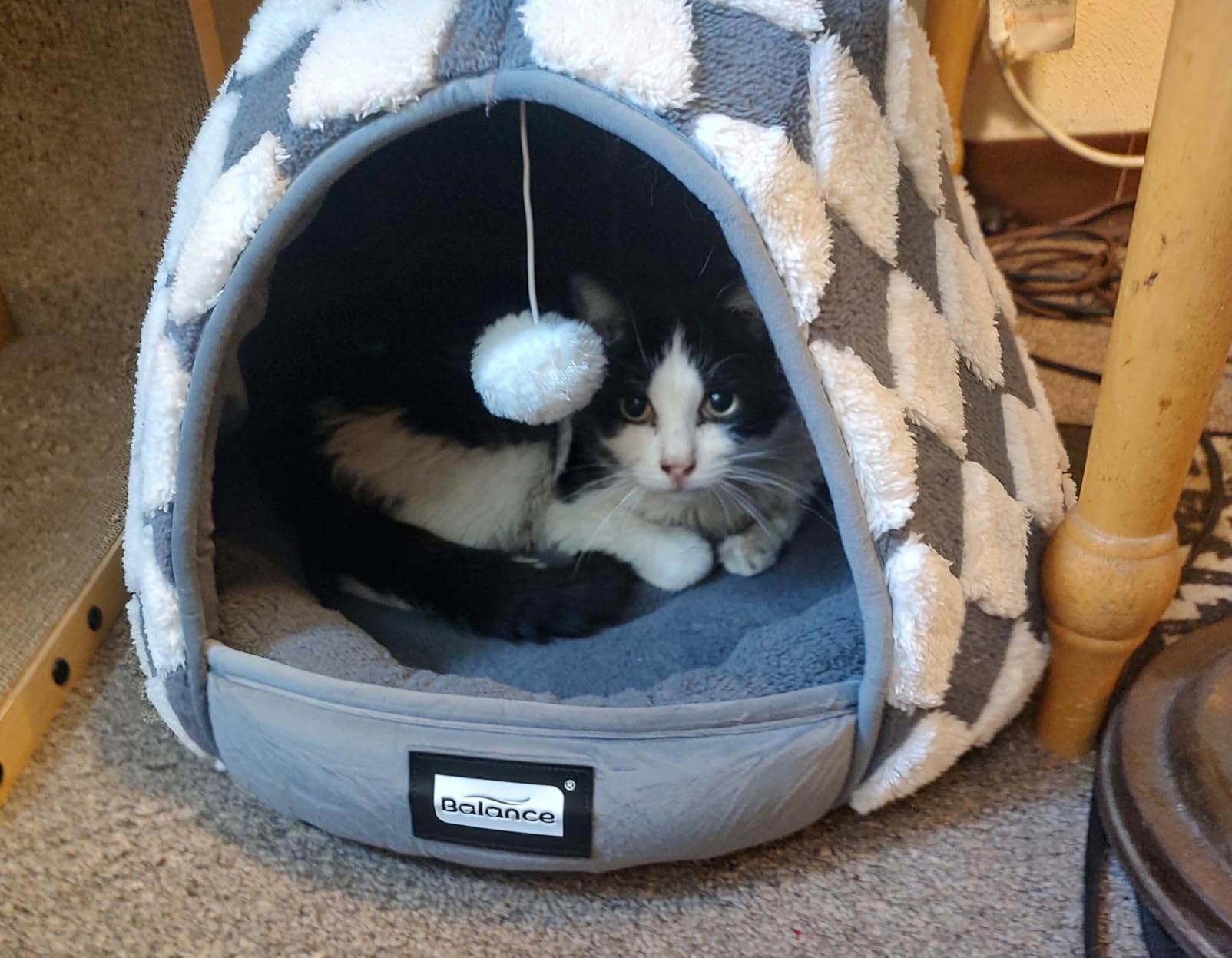 BALANCE Cat Beds for Indoor Cats, 2-in-1 Cat Bed Cave with Anti-Slip Bottom and Ultra-Soft Plush, Cozy Cats House Tent for Kittens and Small Dogs, 19 Inches, Blue customer photo 2