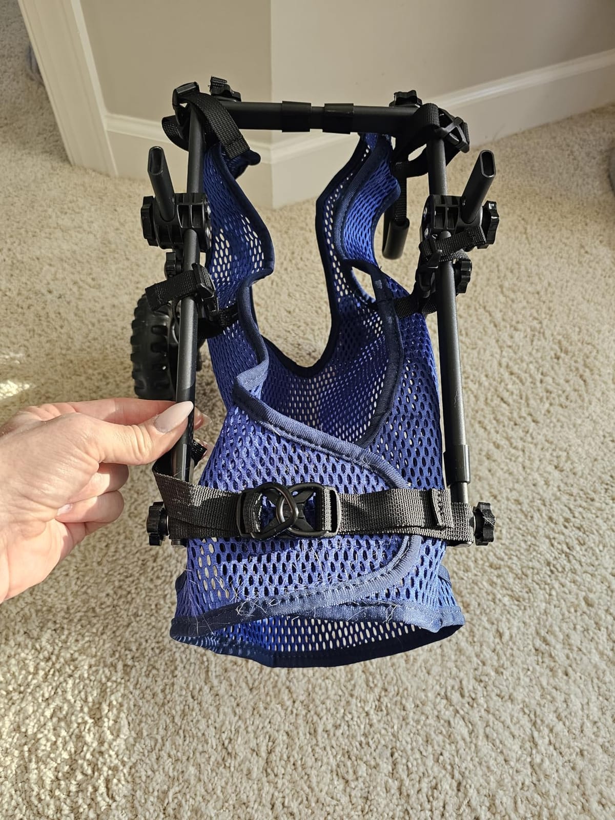 Dog Wheelchair for Back Legs, Dog Wheelchair Cart, Doggy/Cat Wheelchairs with Disabled Hind Legs Walking, Mobility Aids for Small Medium Pet Hind Limbs, Dogs Cart with Wheels, Light Weight customer photo 2