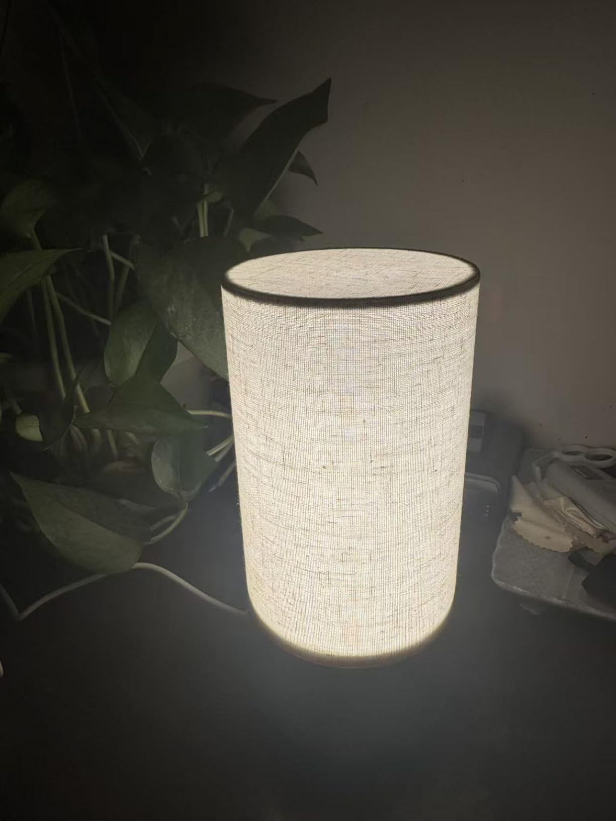 Caromolly Light Therapy Lamp, Happy Lamp 10,000 LUX UV Free with 3 Color Temperature & 5 Brightness Level, Full Spectrum Light Wood Base Round Flaxen Fabric Shade for Home, Office customer photo 1