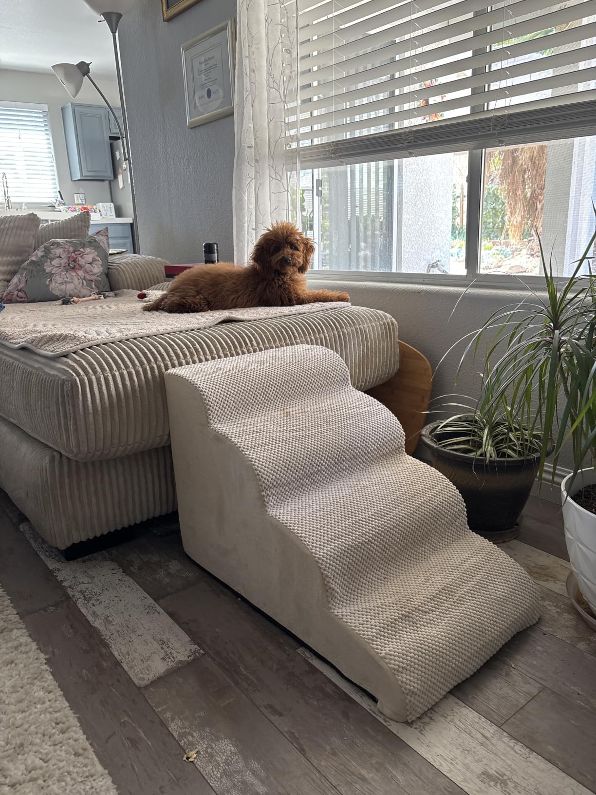 Dog Stairs for High Beds 22.4