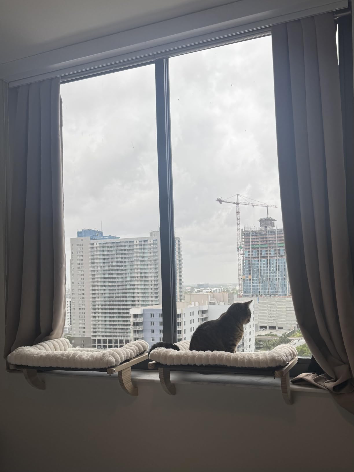 Cloud-Soft Cat Window Sill Perch with Zipper Designed Cushioned Bed, Supportive Cat Window Seat with Premium Solid Wood & Sturdy Metal Frame, Pet Hammock Bed for Large Cats (Medium, White) customer photo 1