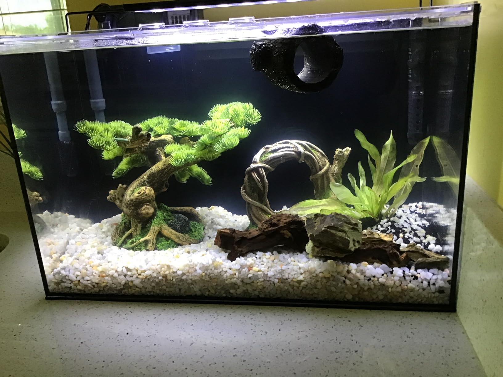 Desktop Small Aquarium Set Glass Fish Tank 1.25 Gallon, with Water Pump Filter Bright LED Light Gravel Cleaning Tool, Starter Kit Small Space Easy Setup Space-Saving Design Betta Shrimp customer photo 1