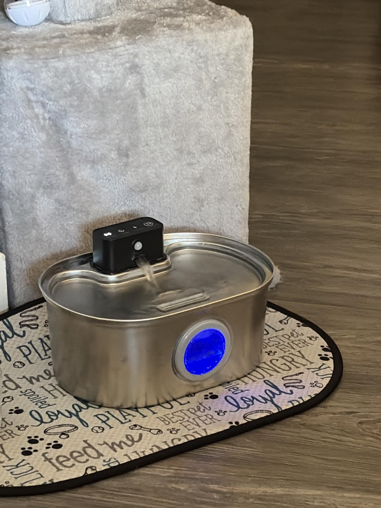 Cat Water Fountain Wireless - Stainless Steel 3.2L/108oz Cordless Pet Fountain - Battery Operated Automatic Water Dispenser for Cats Indoor, with Motion Sensor & Quiet Pump customer photo 2