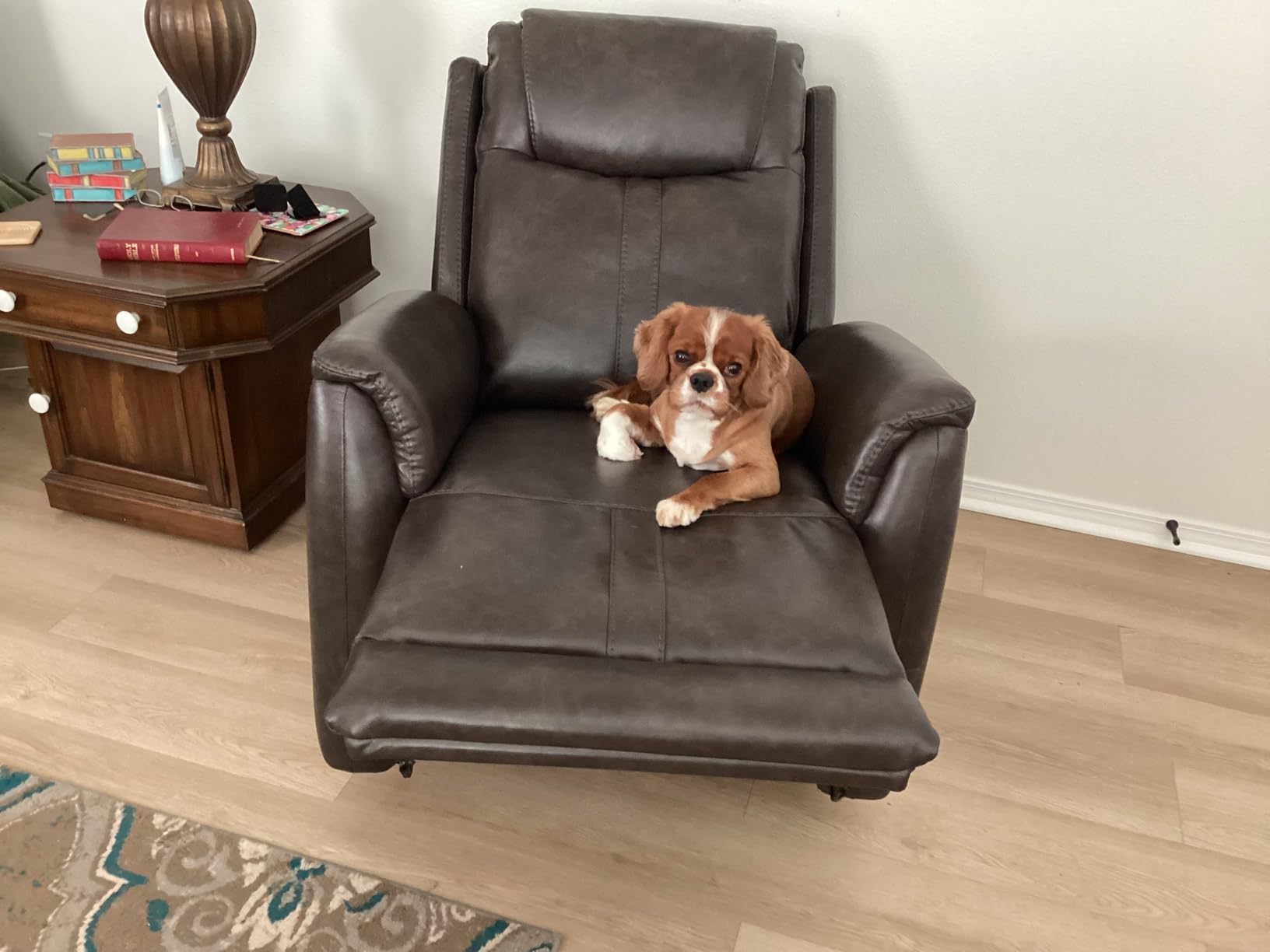 CHITA Faux Leather Power Recliner Chair, Super Zero Gravity Recliner, Camel | Electric Recliner for Adults with USB & Type-C Ports, Perfect for Living Room, Bedroom & Home Theater customer photo 1