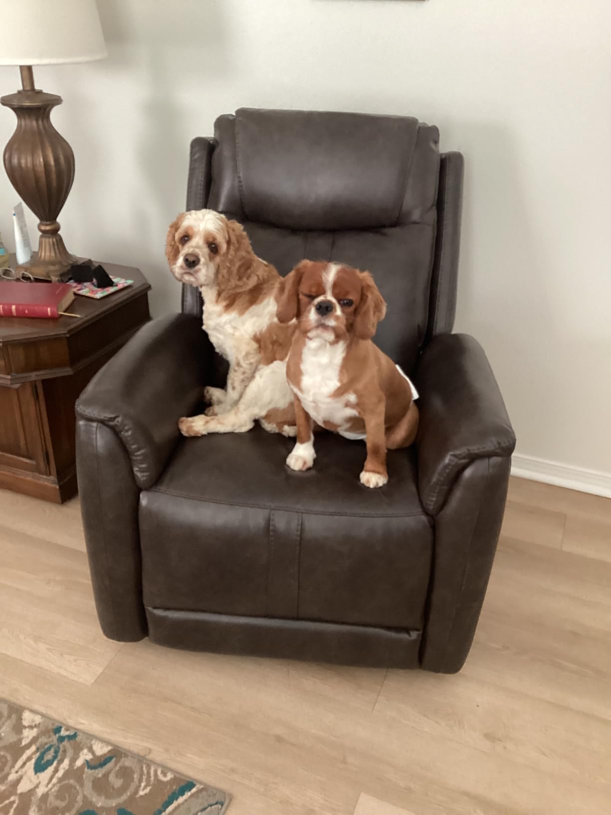 CHITA Faux Leather Power Recliner Chair, Super Zero Gravity Recliner, Camel | Electric Recliner for Adults with USB & Type-C Ports, Perfect for Living Room, Bedroom & Home Theater customer photo 2