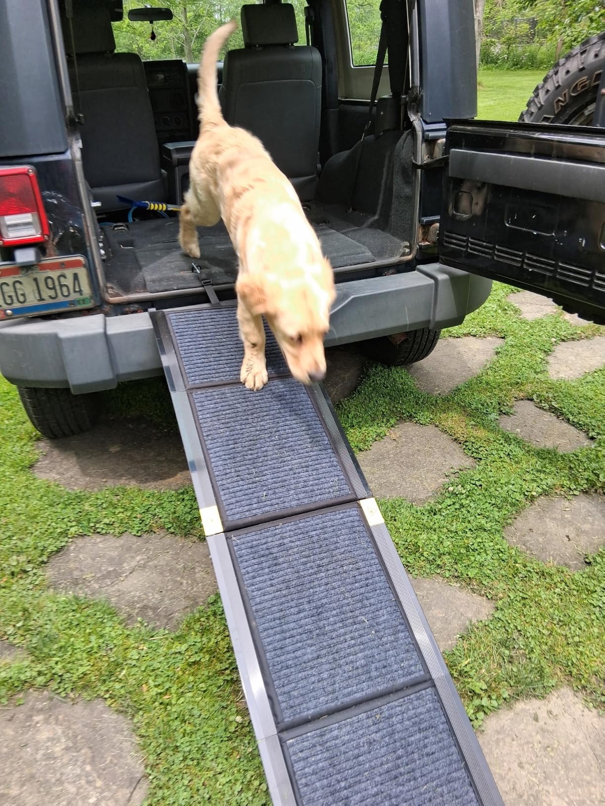 Upgraded Dog Ramp for Car 71