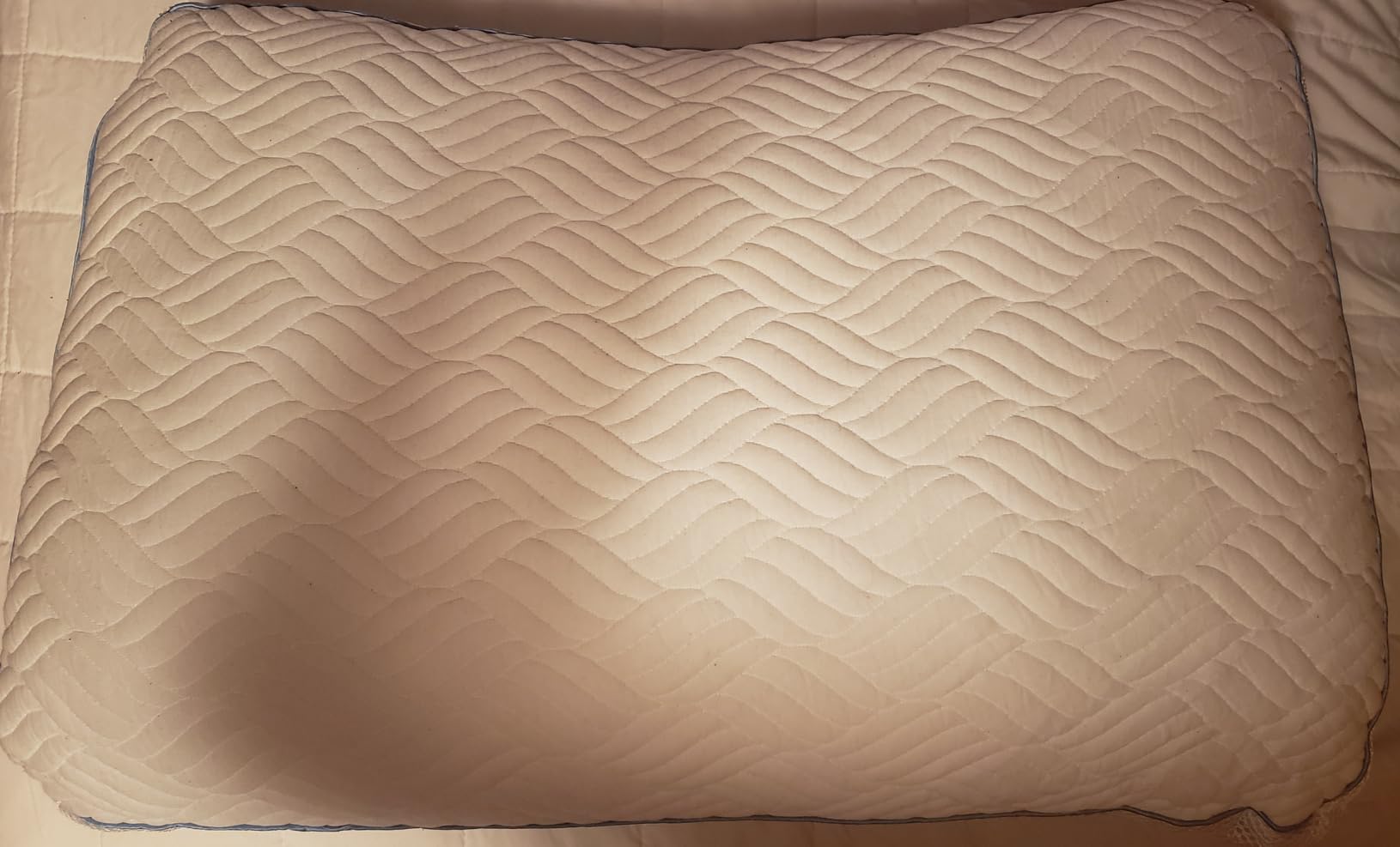 Premium Canadian Goose Down Pillow King Size Set of 2 Pack | 1050+ Fill Power 100% Cotton Shell, Luxury Hotel Quality Bed Feather Pillow customer photo 2