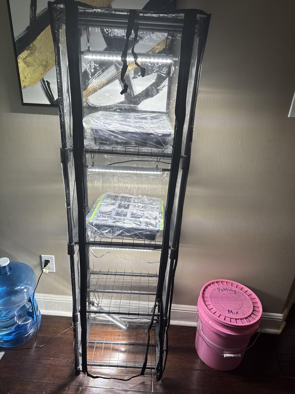 Indoor Greenhouse with Grow Lights, 11.8x15.7x59 | 5000K Full Spectrum, Mini Cabinet, 4 Pack Grow Lights (36W), Auto Timer 4/9/14H, Metal Frame, Indoor Seed Starting customer photo 1