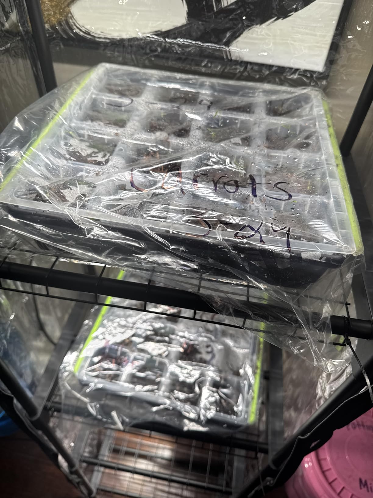Indoor Greenhouse with Grow Lights, 11.8x15.7x59 | 5000K Full Spectrum, Mini Cabinet, 4 Pack Grow Lights (36W), Auto Timer 4/9/14H, Metal Frame, Indoor Seed Starting customer photo 2