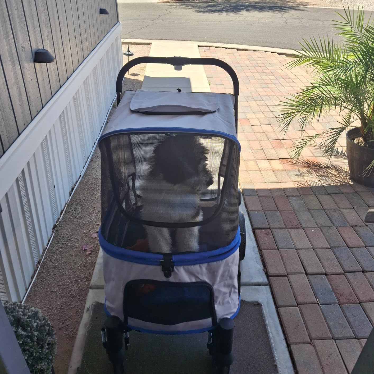 EchoSmile Dog Stroller for Large Dogs, 135lbs Weight Extra Large Pet Stroller, 4 Wheels Cats & Dogs Carrier with Brakes, Breathable Mesh Windows & Pocket, Gray customer photo 2