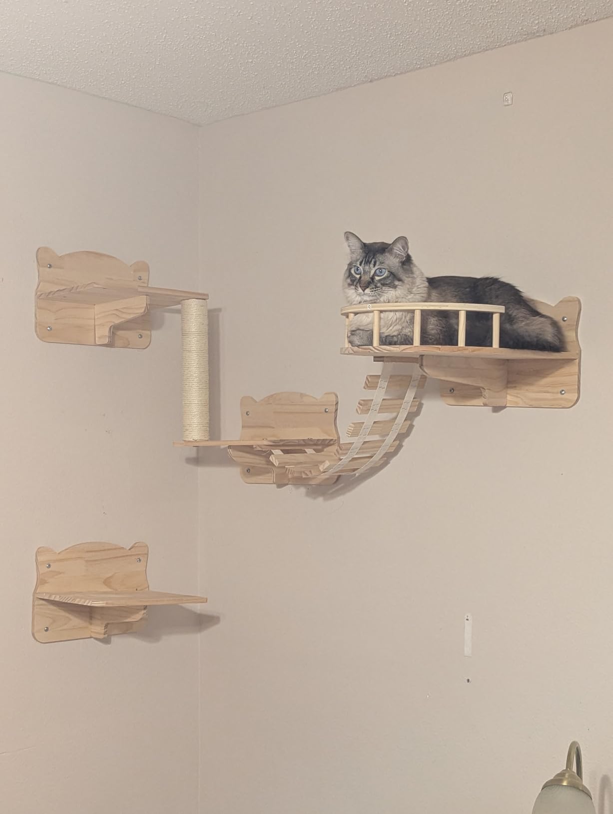 Cat Wall Furniture, 16 in 1 Cat Shelves w/Tunnel & Bridge, Beige | Wall Mounted Cats Shelf Set with Plush Fabric, Cat Climbing Wall Systems for 16 Inch Drywall, with Scratching Posts, Condos customer photo 1