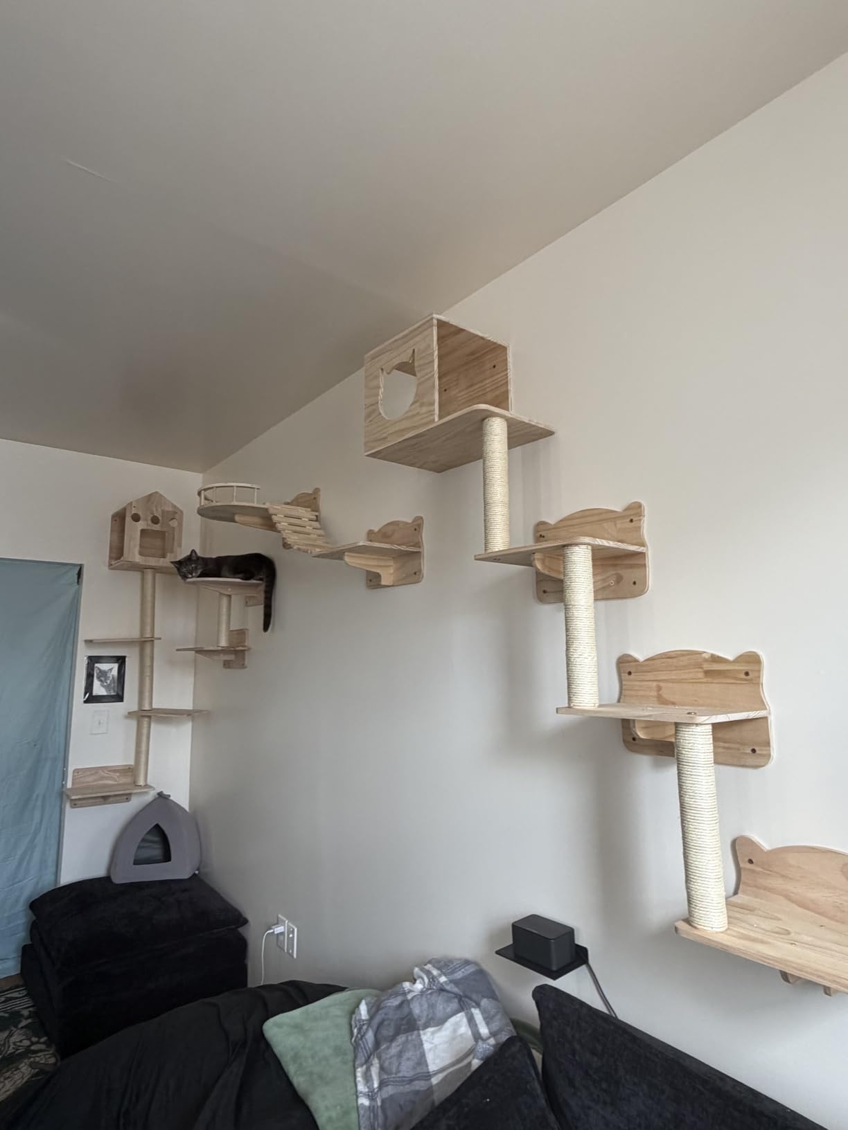 Cat Wall Furniture, 16 in 1 Cat Shelves w/Tunnel & Bridge, Beige | Wall Mounted Cats Shelf Set with Plush Fabric, Cat Climbing Wall Systems for 16 Inch Drywall, with Scratching Posts, Condos customer photo 2