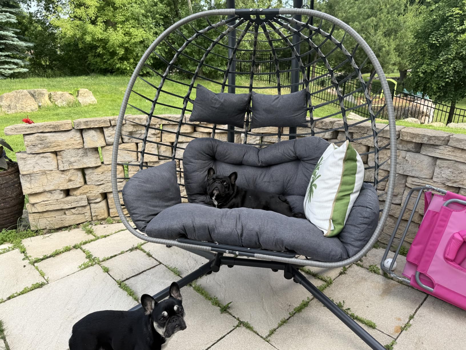Double Egg Chair Outdoor with Stand, Patio Hanging Swing, Beige - Indoor 2 Person Egg Swinging with Cushion, Wicker Loveseat for Porch Balcony Backyard, Cozy Hammock Chairs 650 LBS Capacity customer photo 2