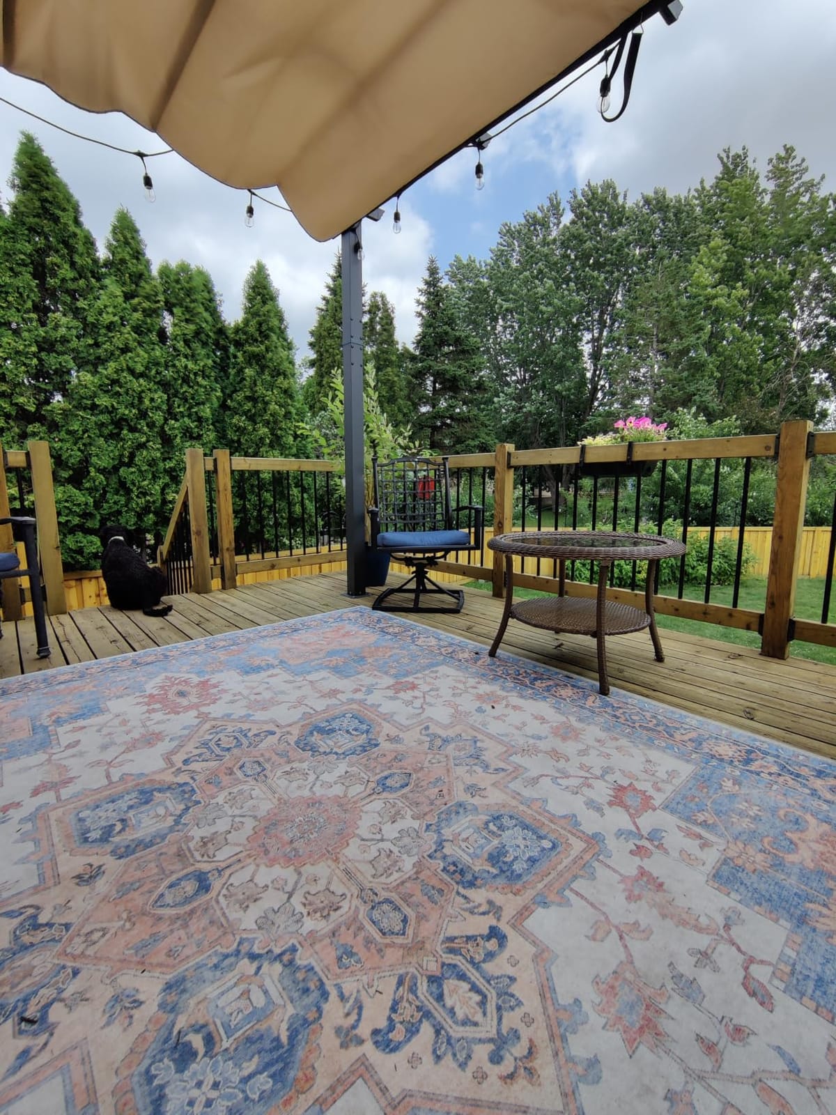 GENIMO 5x8 Outdoor Rug, Washable for Patio and Deck, Blue | Vintage boho medallion design, fade resistant chenille with quick-dry non-slip backing customer photo 2