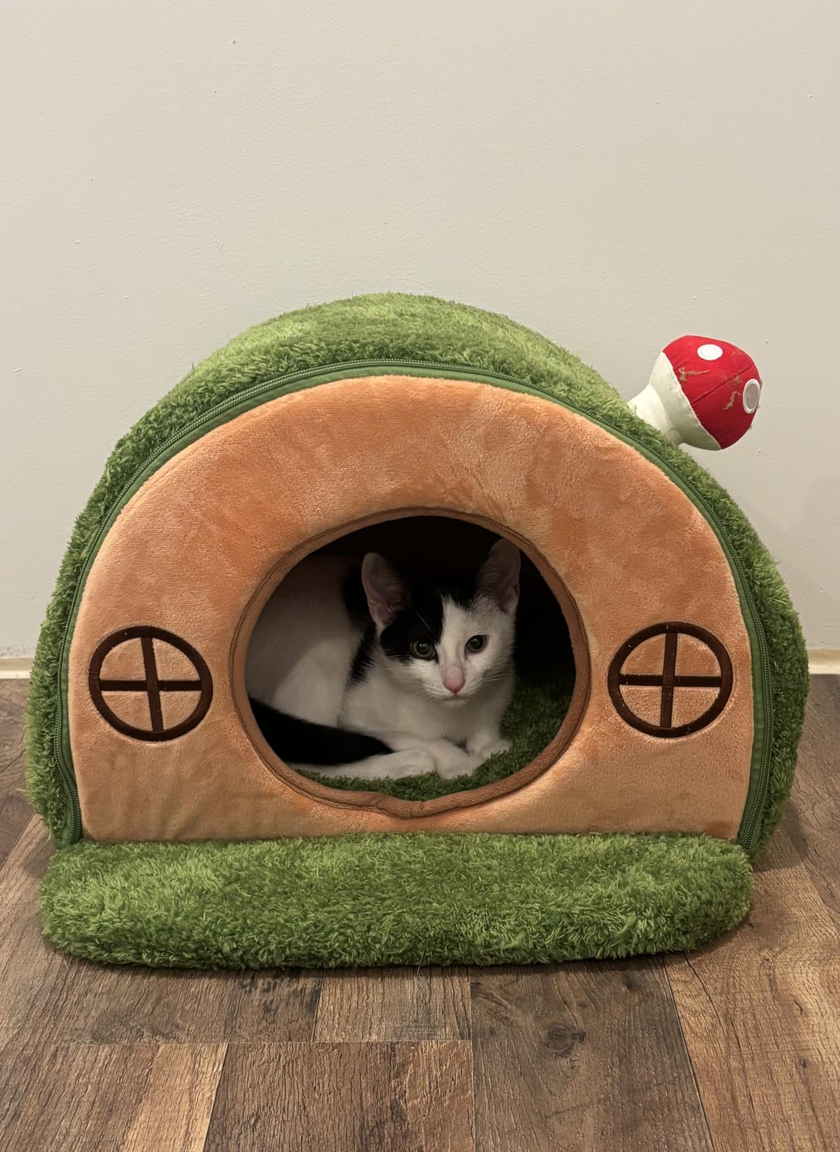 Cat House for Indoor Cats - Tree Hole Cat Bed Cave Hideaway | Enclosed Calming Shelter for Small Medium Pets, Removable & Washable Cushioned Pillow, Cute Kitten Bed with Anti-Slip Base customer photo 2