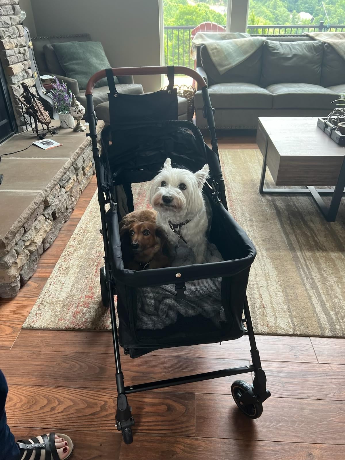 Dog Stroller for Medium Dogs Up to 66 lbs, Fits Select Large Dogs, Pet Stroller for 2 Small Dogs with Adjustable Handle & Canopy, Sun Shades, Storage Organizer, Foldable & Ventilated, Black customer photo 2