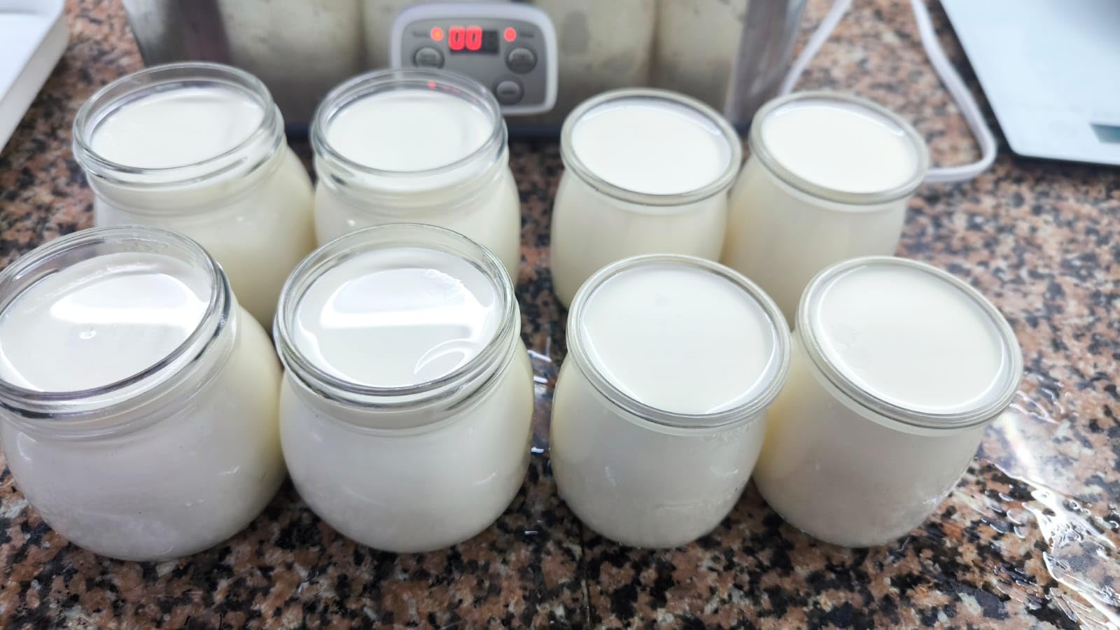 Suteck Yogurt Maker with 8 Jars, Adjustable Time & Temp Control, Black | 8 Jars Each 6oz Dishwasher-Safe, BPA-Free, 0-48H Timer & 68-131°F Temp, Auto Shutoff, 25W, Greek Yogurt customer photo 1