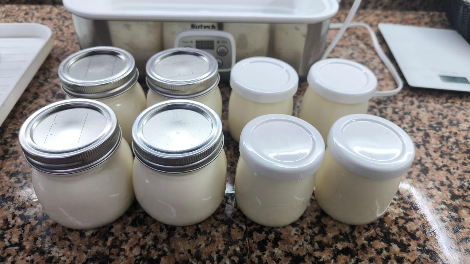 Suteck Yogurt Maker with 8 Jars, Adjustable Time & Temp Control, Black | 8 Jars Each 6oz Dishwasher-Safe, BPA-Free, 0-48H Timer & 68-131°F Temp, Auto Shutoff, 25W, Greek Yogurt customer photo 2