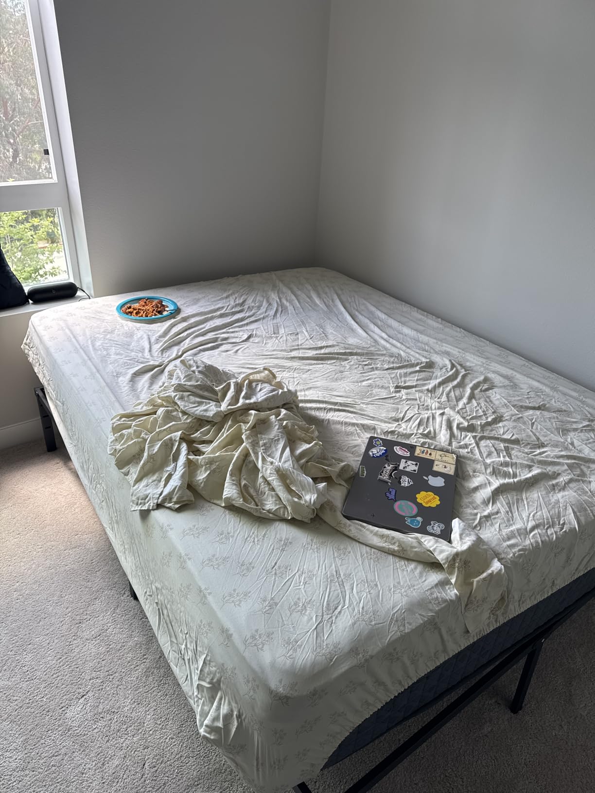 14 inch Medium Firm Mattress Queen, Hybrid Mattress with Back and Lumbar Hip Support, Fiberglass Free, 365 Nights Trial, 10 Years Warranty customer photo 1