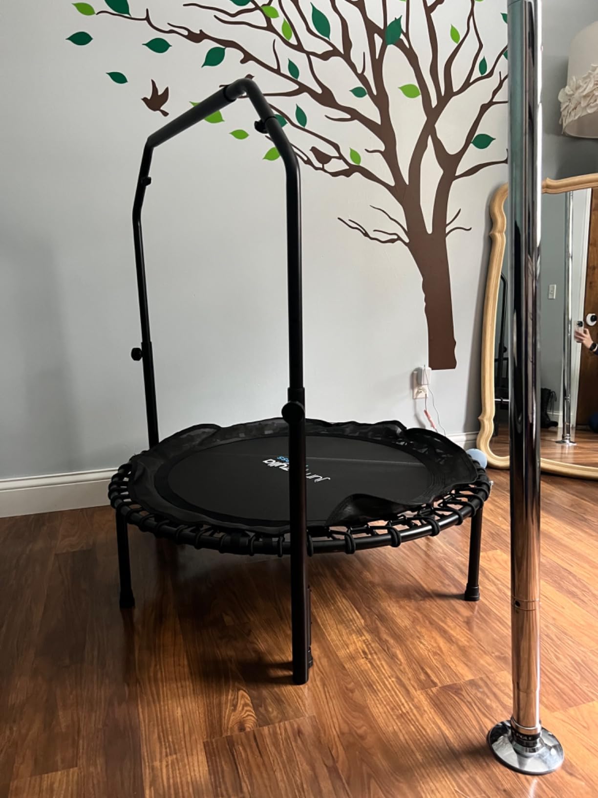 JUMPZYLLA Mini Rebounder Trampoline for Adults, Fitness Trampoline with Bar | 450/550 lbs Exercise Trampoline with Adjustable Handle, 40/48 in for Indoor/Outdoor Workouts customer photo 1
