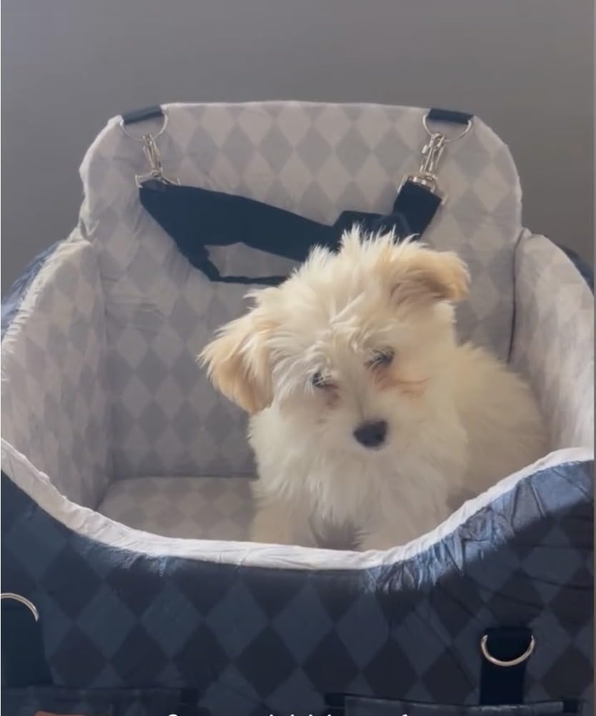 Dog Car Seat for Small/Medium Dogs up to 35lbs, 4-Pocket Storage Memory Foam Dog Booster Seat, Detachable Washable Pet Car Seat with Safety Belt, Outdoor & Indoor Use (Blue/Grey) customer photo 1
