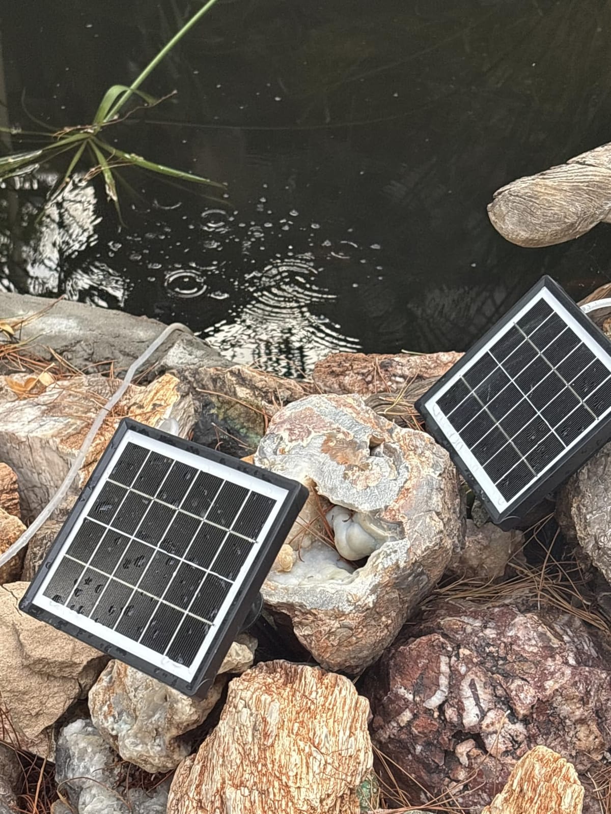 3W Solar Pond Aerator with 2200mAh Battery Backup, All-in-One Solar Air Pump, 24/7 Continuous Oxygenation, Quiet Operation, 3 Modes Bubbler, Portable for Small Ponds, Fish Tanks & Hydroponics customer photo 2