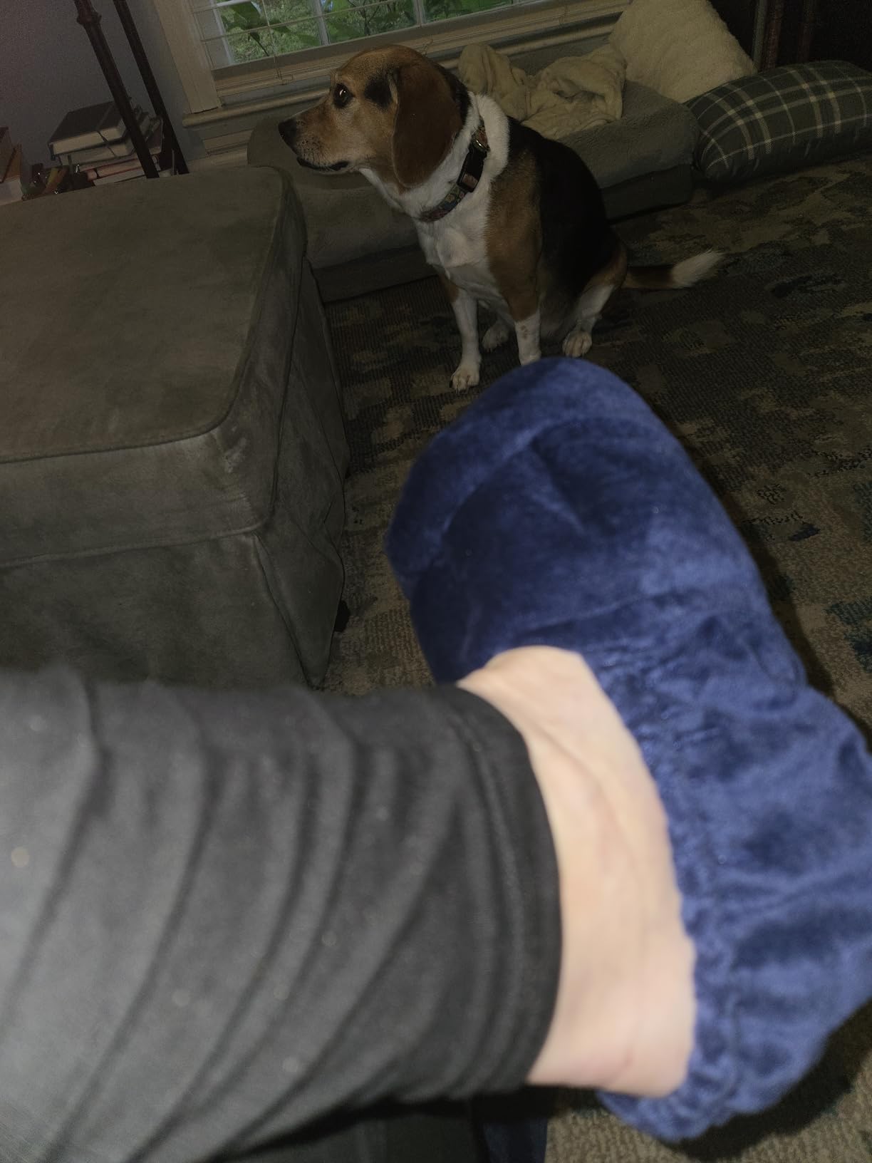 SunnyBay Microwavable Foot Warmer Slippers, Large, Navy Blue | Moist Heat Pack Warms Feet, Fits Ladies 10-13 and Men 8-14, Reusable, Cozy Gift customer photo 1