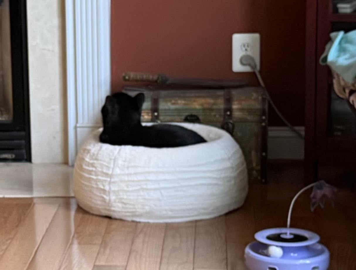 PAWSPIK Comfort Orthopedic Faux Rabbit Fur Memory Foam Cat & Small Dog Bed customer photo 2