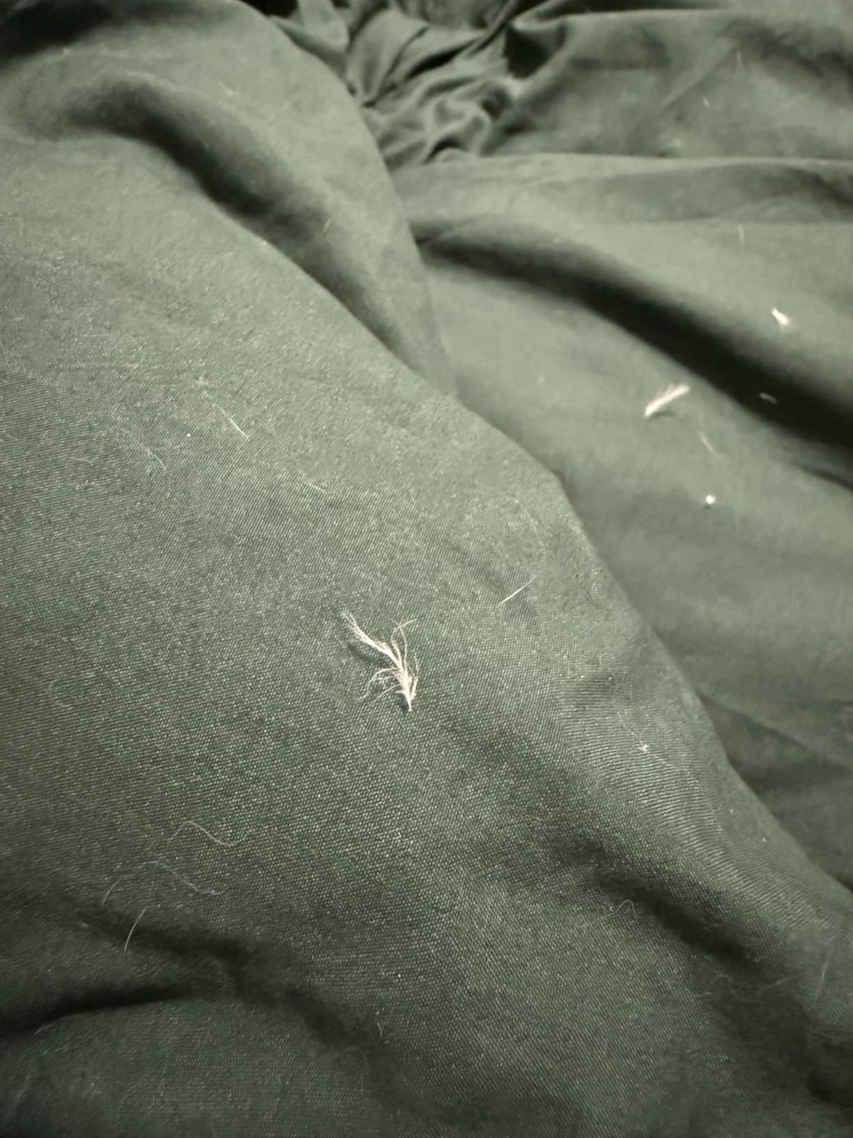 DOWNCOOL Feather Down Fiber Comforter Queen Size, 100% Cotton White 90