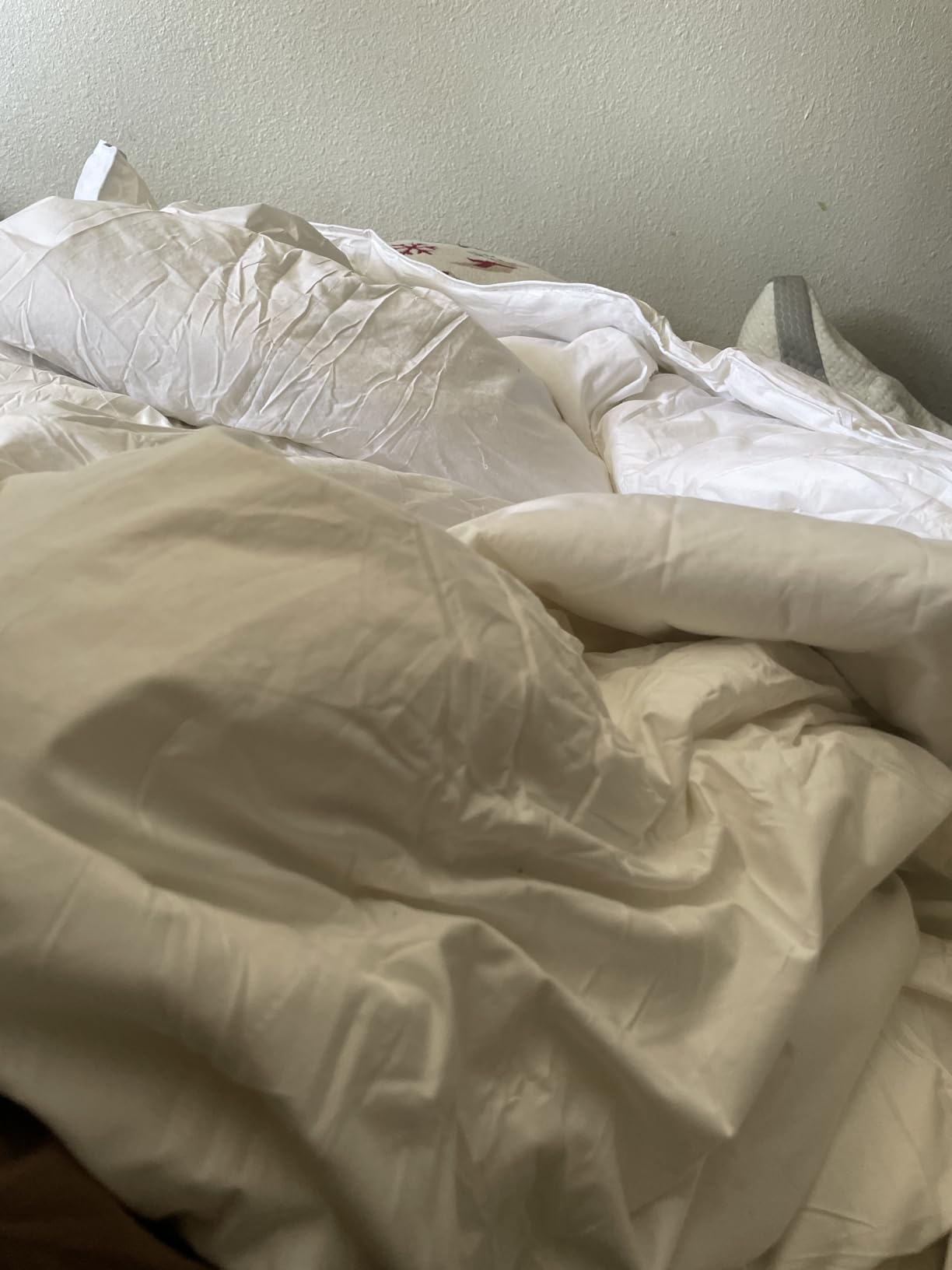 APSMILE Goose Feather Down Fibers Comforter King Size, 106x90 Inch | Organic Cotton Duvet Insert, All Season Warmth, Baffle Box, Quill-Free Soft Fluffy Hotel Bed Comforter, Ivory White customer photo 1