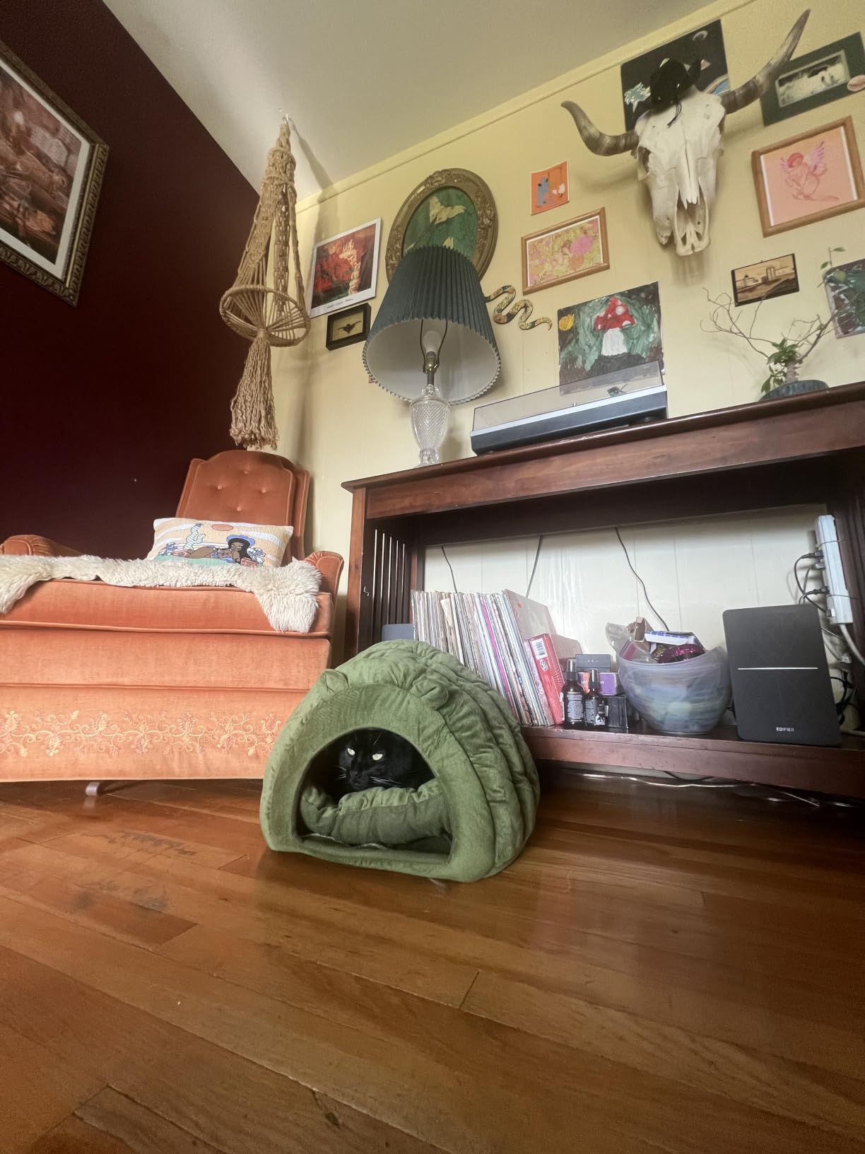 Cat Cave Bed, Orthopedic Memory Foam Anti Anxiety Cat Bed for Indoor Cats, Cozy Plush Caterpillar Tunnel Cat Bed, Non Slip Pet Bed Fits Cats Up to 15 lbs customer photo 1