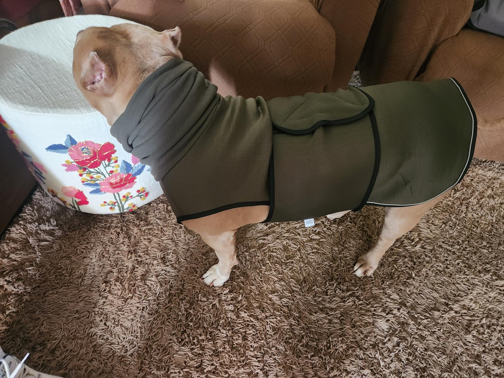 2-in-1 Dog Anxiety Vest with Hood, Dog Calming Shirt for Thunder | Breathable Shirt/Jacket for Stress Relief, Stretchy, Soft Ear Cover, Ideal for Thunderstorms, Separation Vet Visits Green XXL customer photo 1