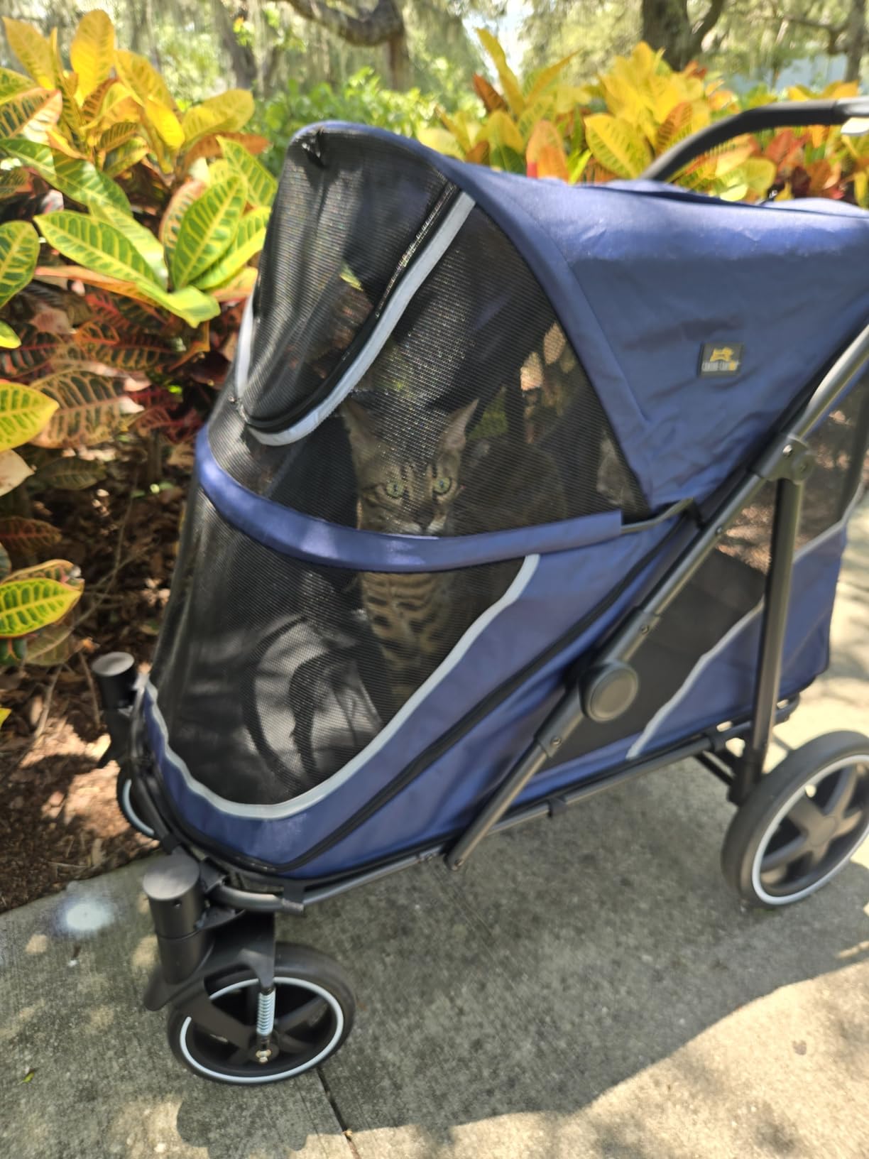 CANINE CANYON All-Terrain Pet Stroller for Large & Medium Dogs | Easy fold, 130 lbs capacity for 2 dogs. Dual entry, 1-foot brake, sunroof & breathable windows for outdoor adventures, Black customer photo 1
