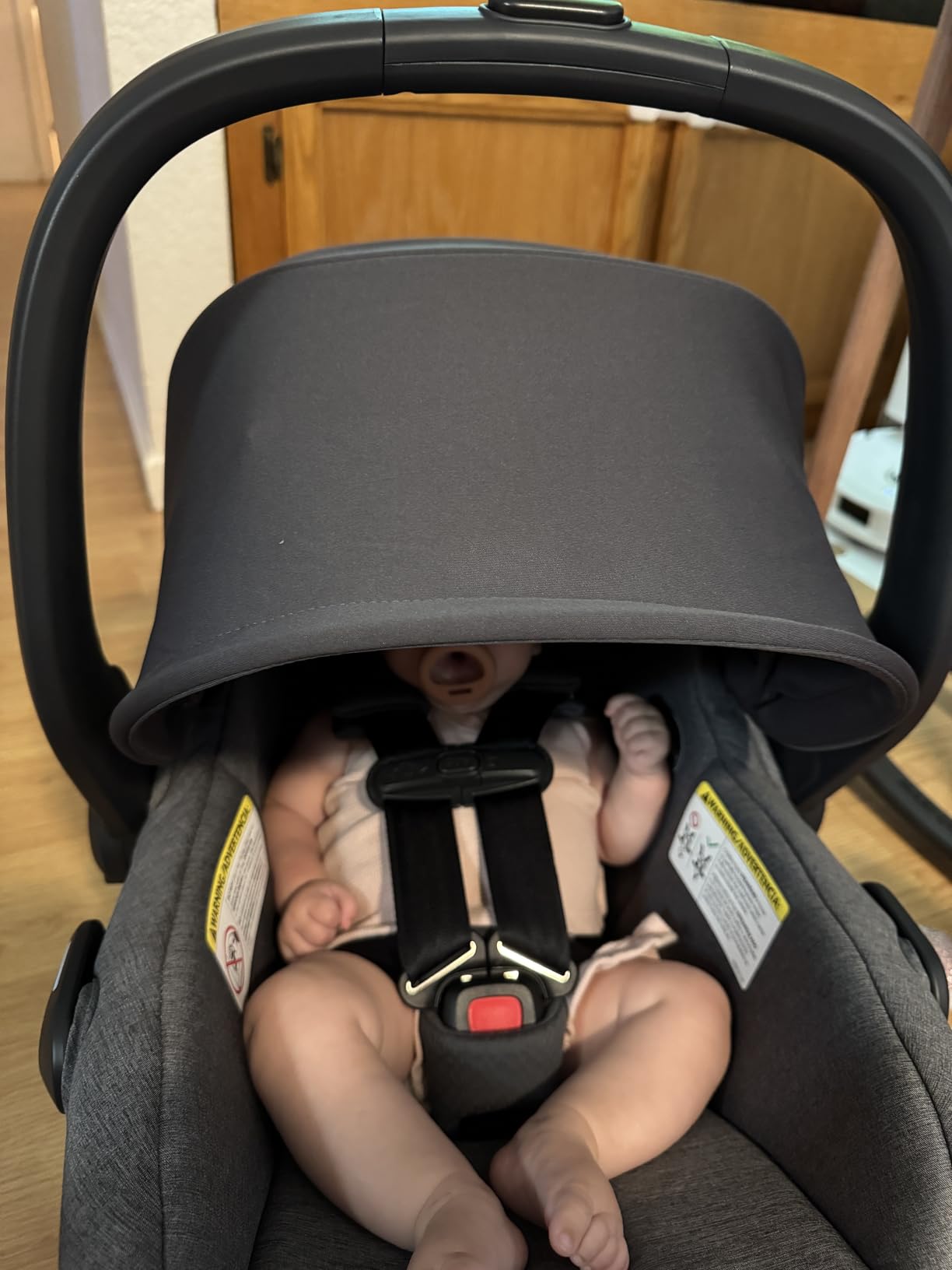 UPPAbaby Mesa V3 Infant Car Seat with Base, Insert & SmartSecure - Ada | Suitable for infants from 4-30 lbs, No-rethread harness, Base included, 25 Headrest positions customer photo 2