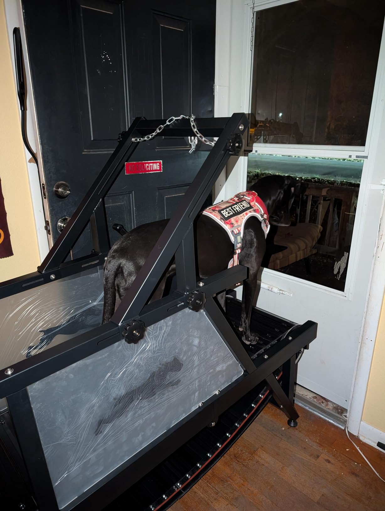 HotFeed Dog Slat Mill for Medium Dogs, Doggy Treadmill with Brake & Plastic Track, Dog Pacer Treadmill to Keep Active and Fit, Up to 300LBS customer photo 1