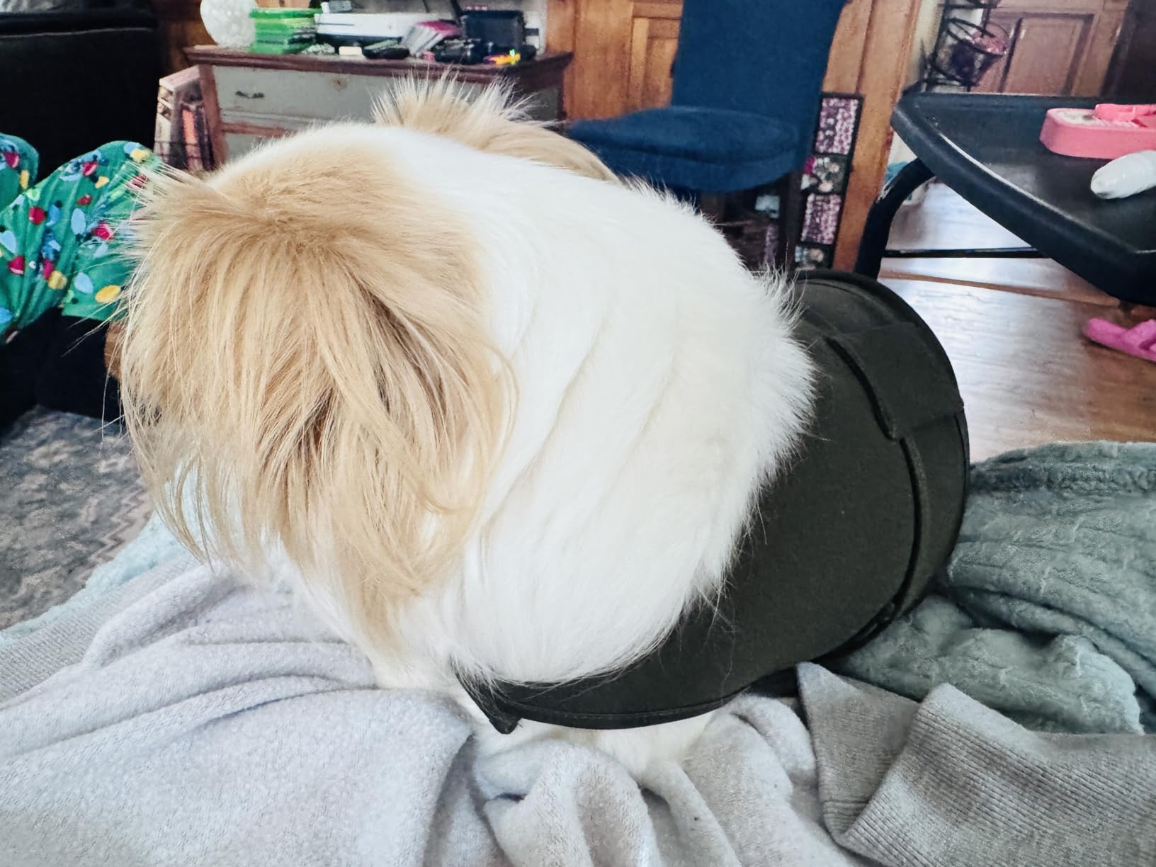 Dog Anxiety Vest Calming Jacket for Small Medium Large Dogs, Dog Shirt Wrap for Indoor Outdoor Fireworks, Thunder, Travel, Separation, Purpink, Large customer photo 2