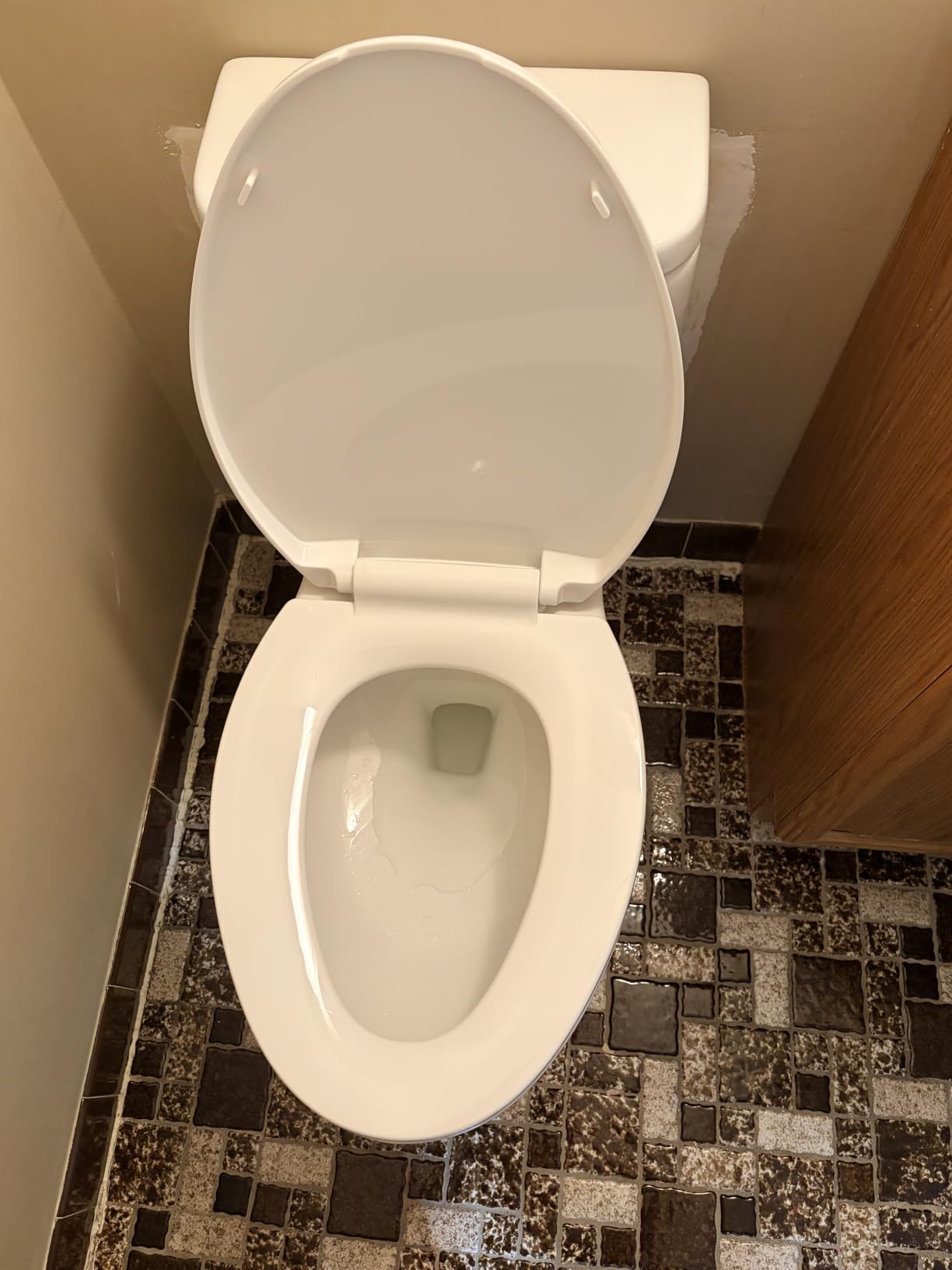 Sonderzone Elongated One Piece Toilet, Modern 17.3