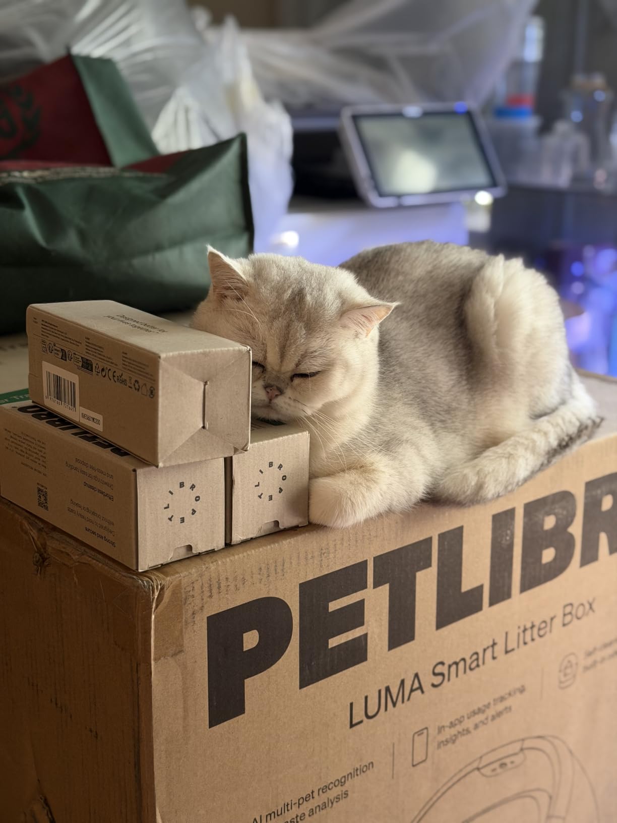 PETLIBRO Automatic Litter Box with AI-Camera Waste Analysis, Auto Odor-Control Self Cleaning Litter Box, Large Open-Top Luma Smart Litterbox with Multi-Cats Recognition, Usage Tracking, Safety Sensors customer photo 1