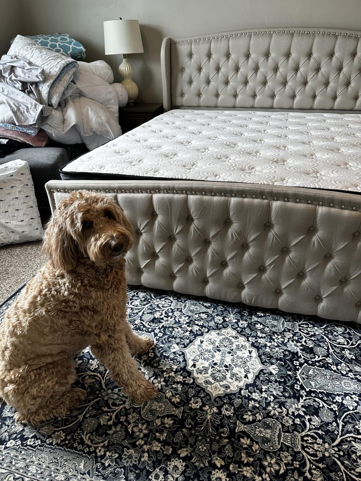King Mattress 16 Inch, Luxury Hotel Hybrid Mattress King Size Bed in a Box | Pressure & Back Pain Relief, Cooling Gel Memory Foam & 7-Zone Pocket Spring Ergonomic Targeted Support, 365-Night Trials customer photo 2