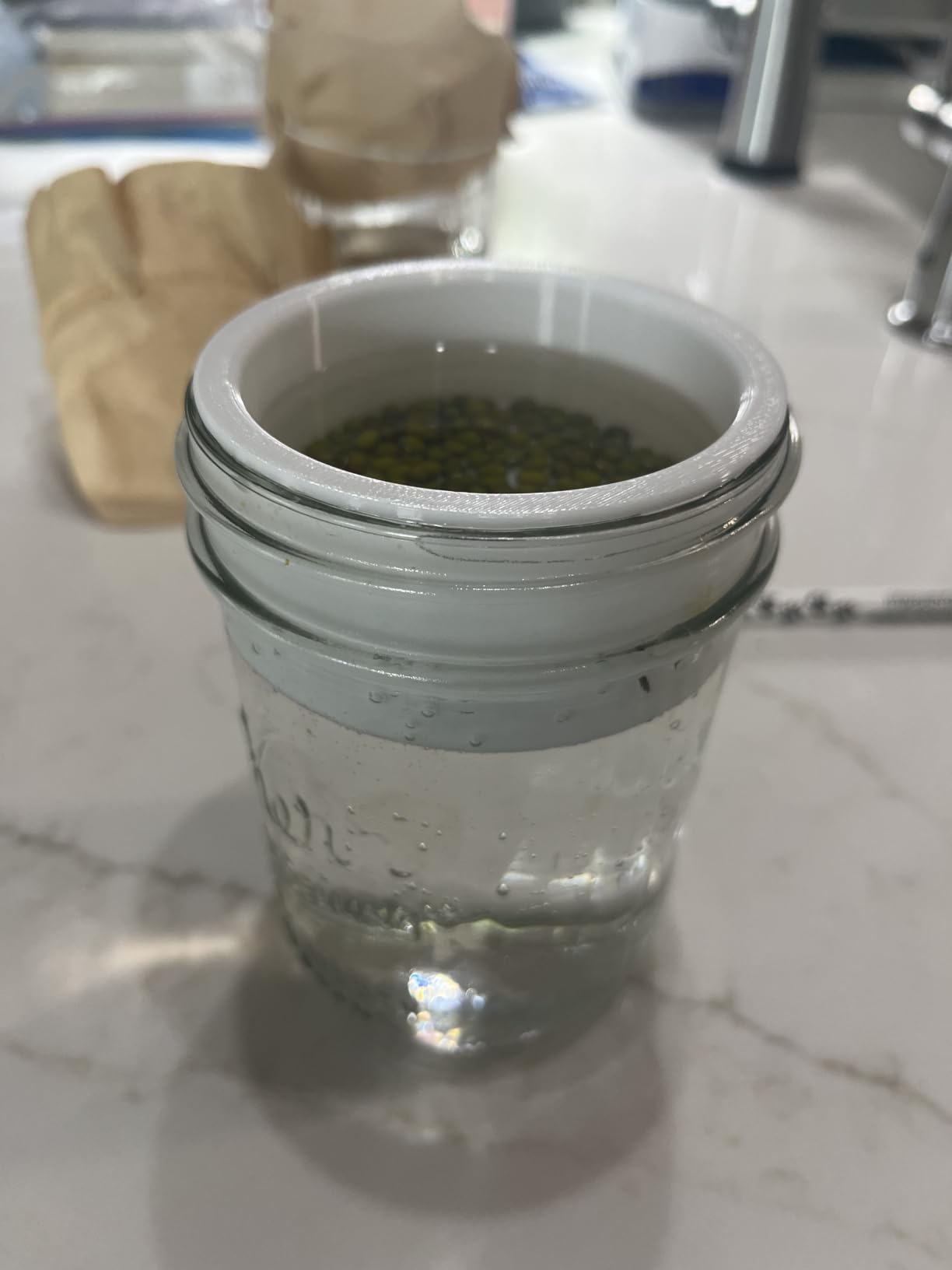 2-Pack Microgreens Growing Kit for Wide Mouth Mason Jars | Jars not Included | 2.87-3.11