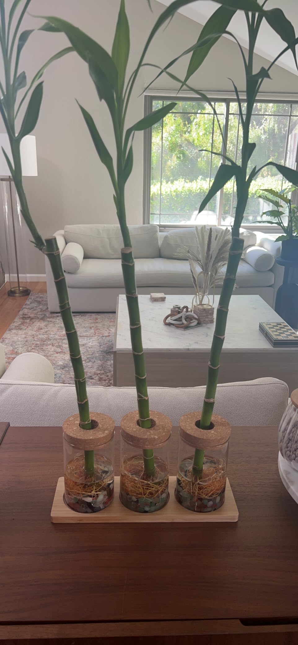 Plants Propagation Station | Vertical Hydroponic Tower Garden - Hydroponics Growing System Indoor, Aeroponic Tower Kit 30 Pods Grow customer photo 2