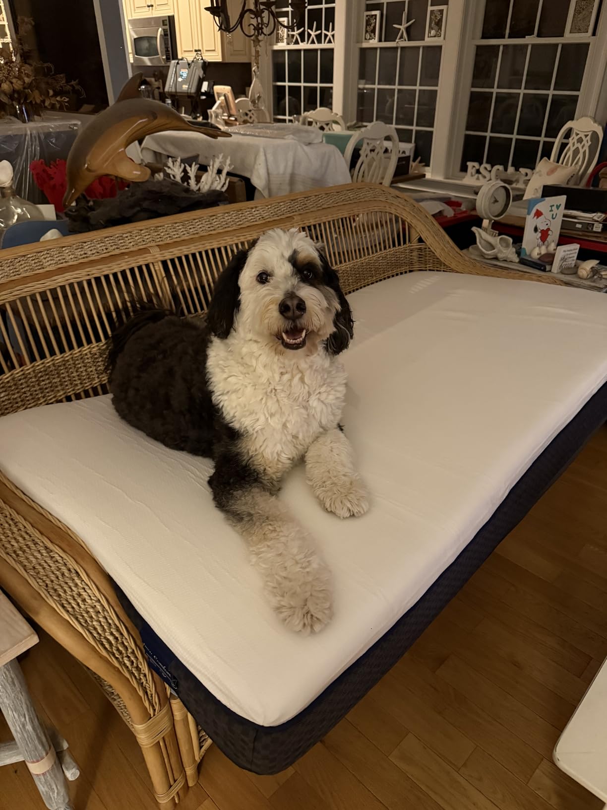 Firm Queen Mattress - 14 Inch Memory Foam Mattress Queen with Orthopedic Lumbar Support - Motion Isolation & Cool Sleep, CertiPUR-US Certified, Assembled in USA customer photo 1